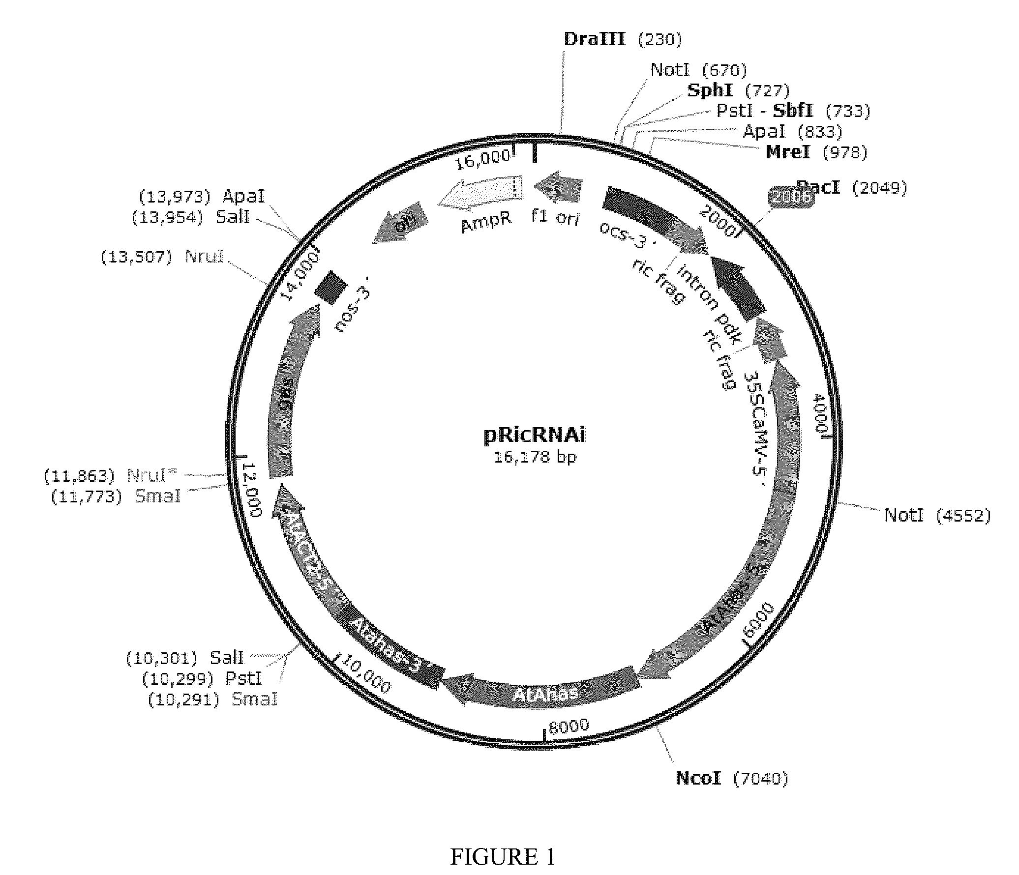 Patent US12310308 — — Figure 1