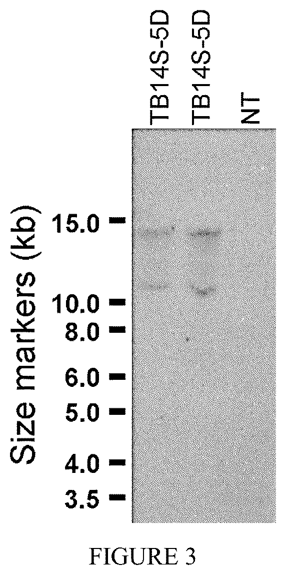 Patent US12310308 Figure 3 – 