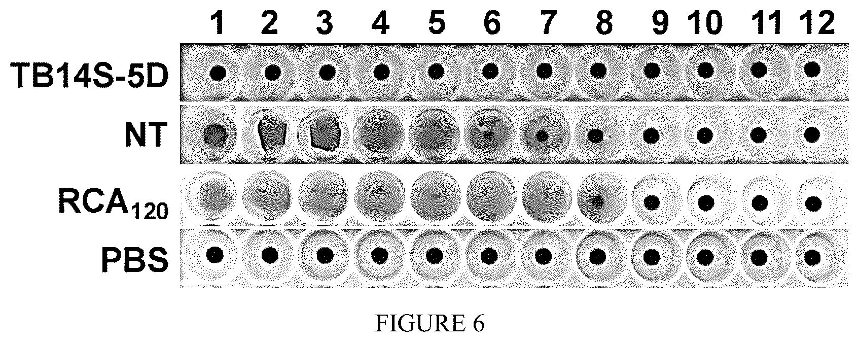 Patent US12310308 Figure 6 – 