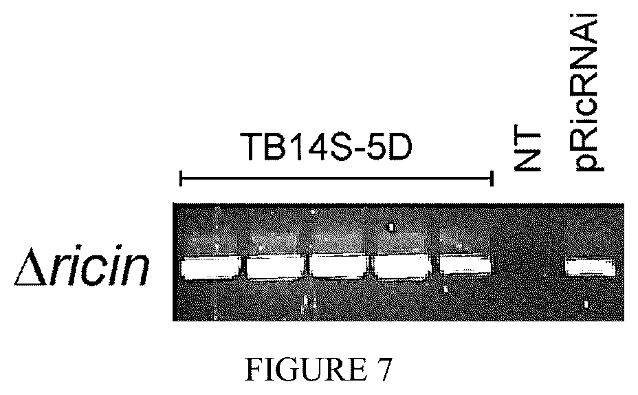 Patent US12310308 Figure 7 – 