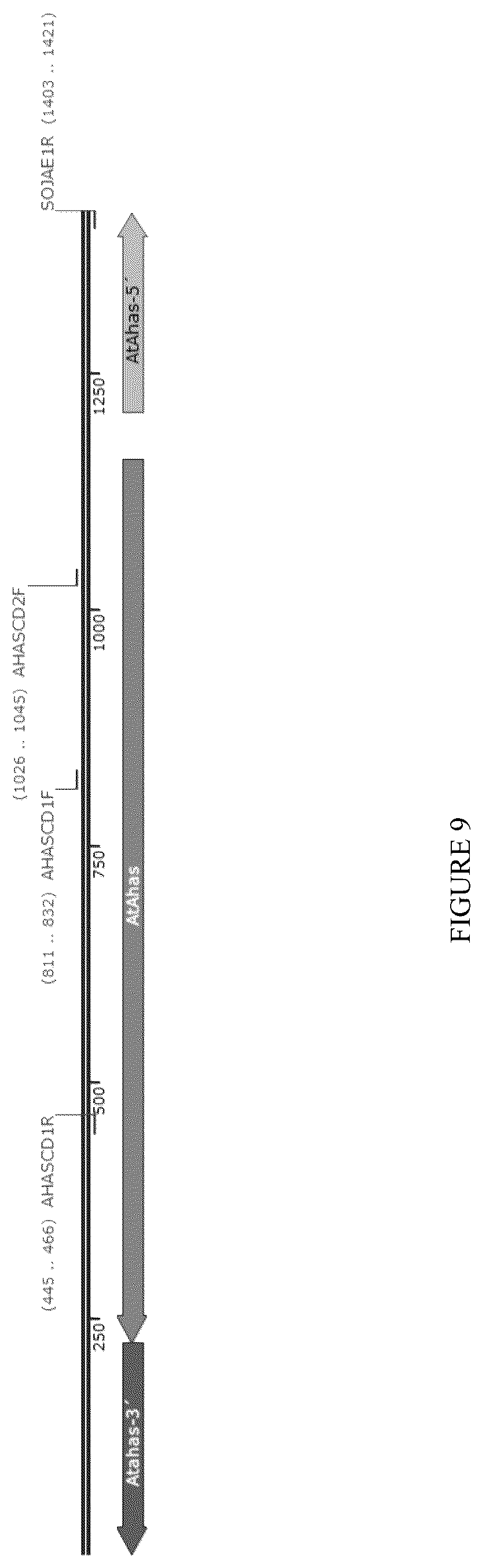 Patent US12310308 Figure 9 – 