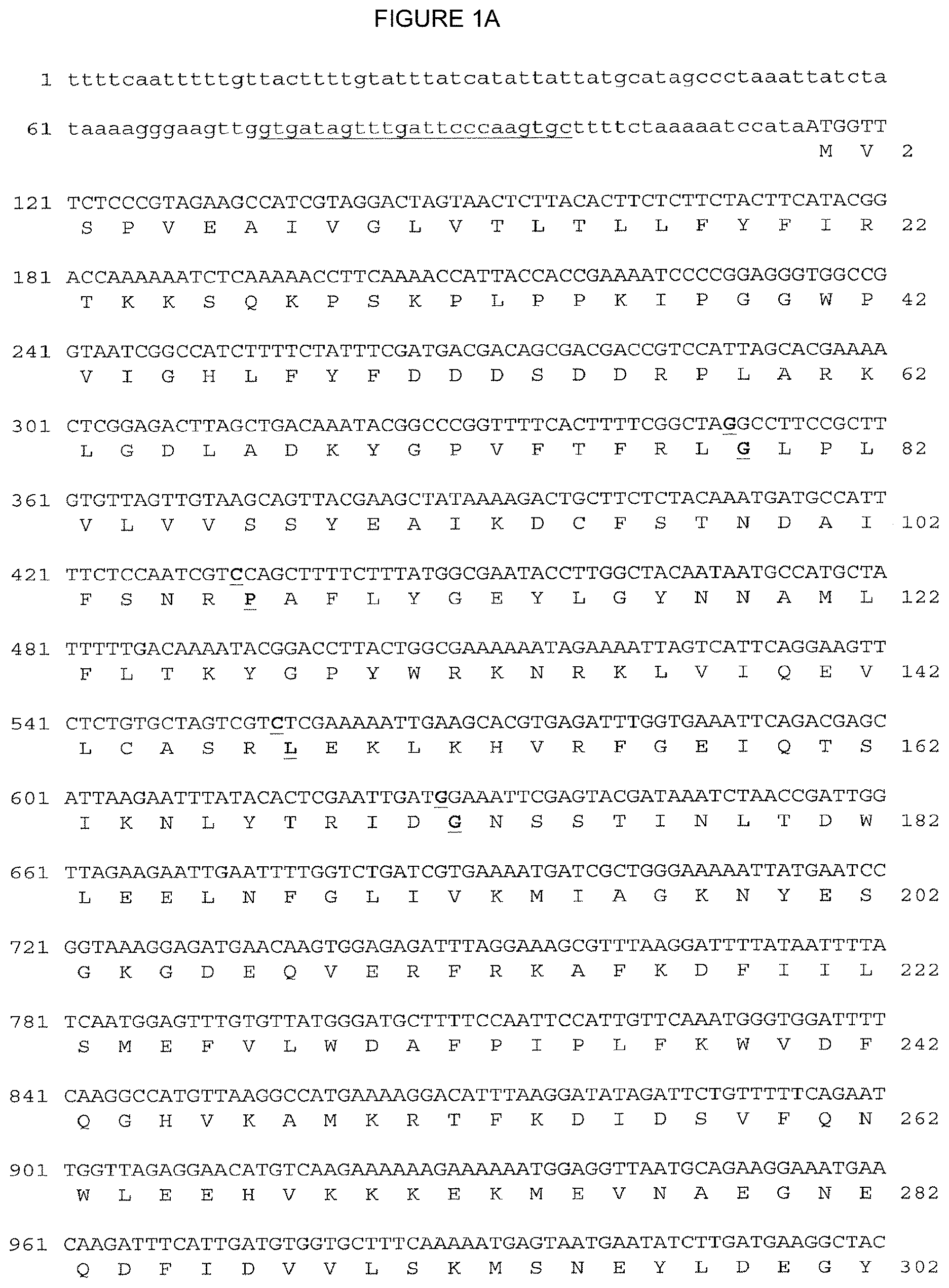 Patent US12310324 Figure 1 – 