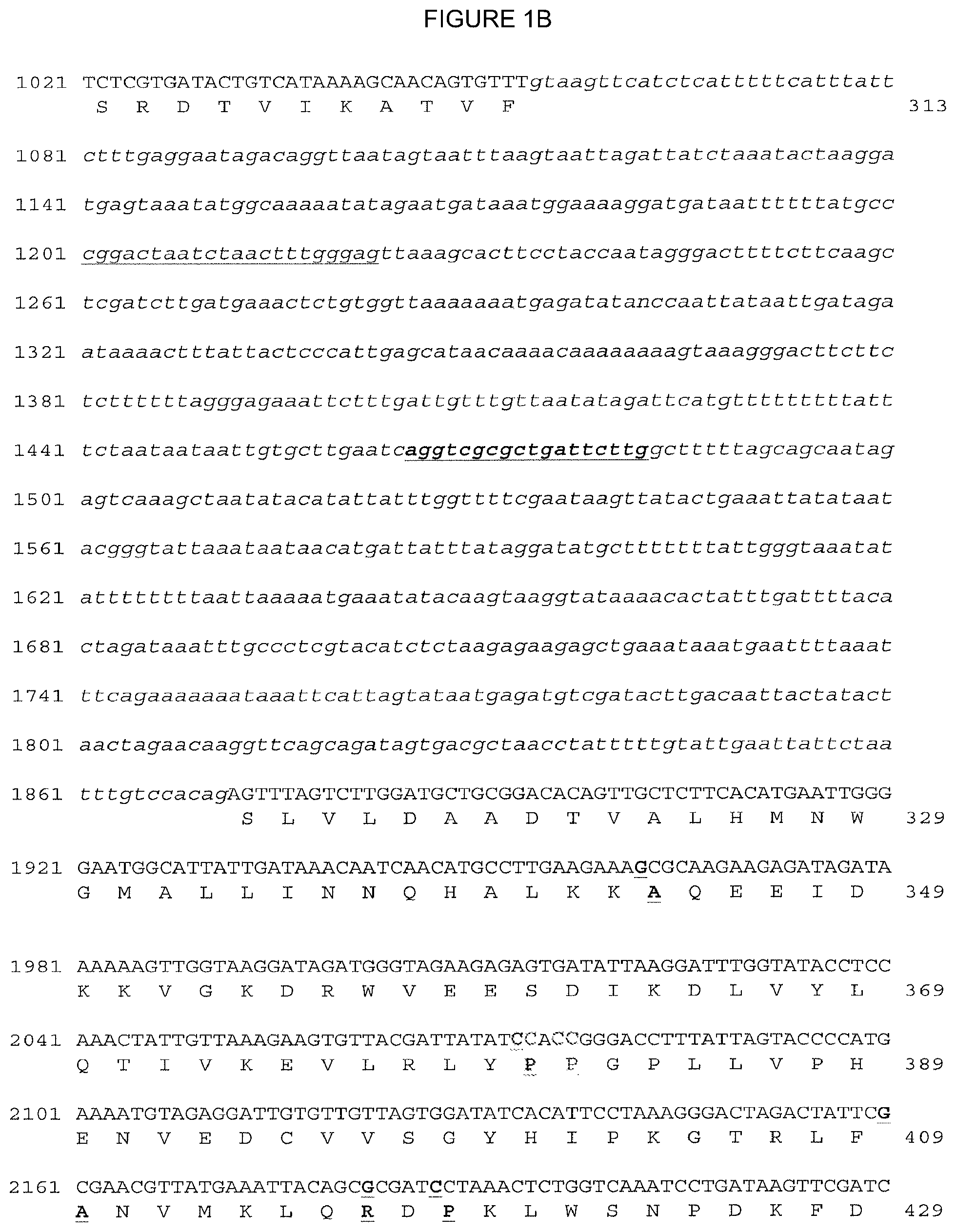 Patent US12310324 Figure 2 – 