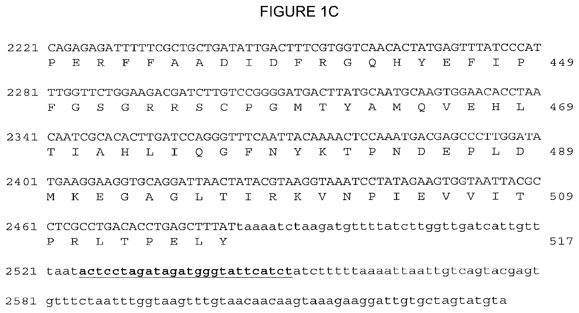 Patent US12310324 Figure 3 – 