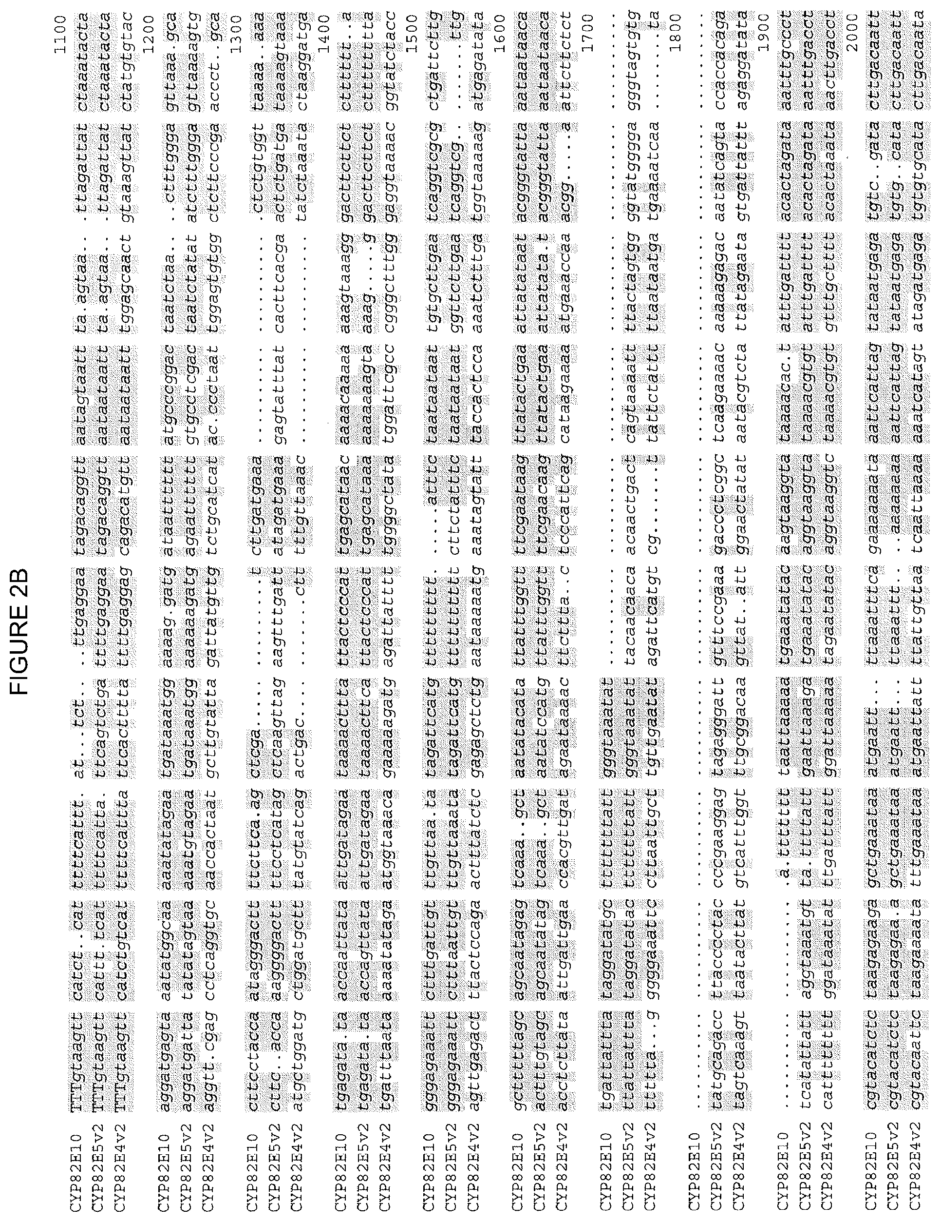 Patent US12310324 Figure 5 – 