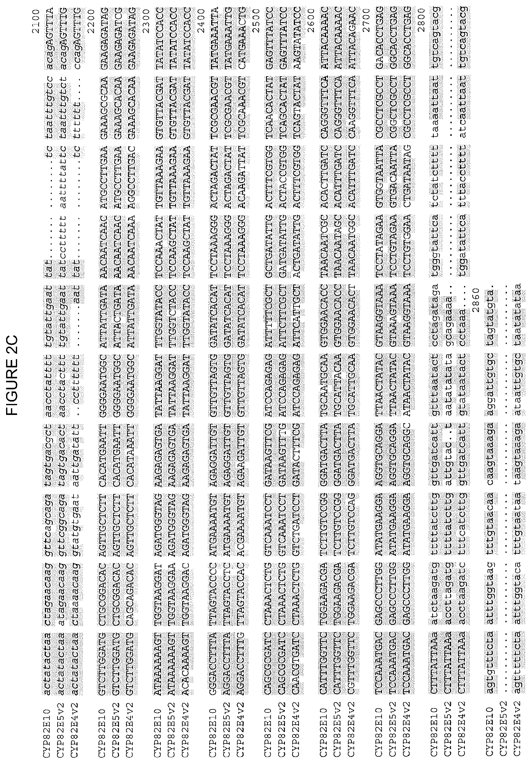 Patent US12310324 Figure 6 – 
