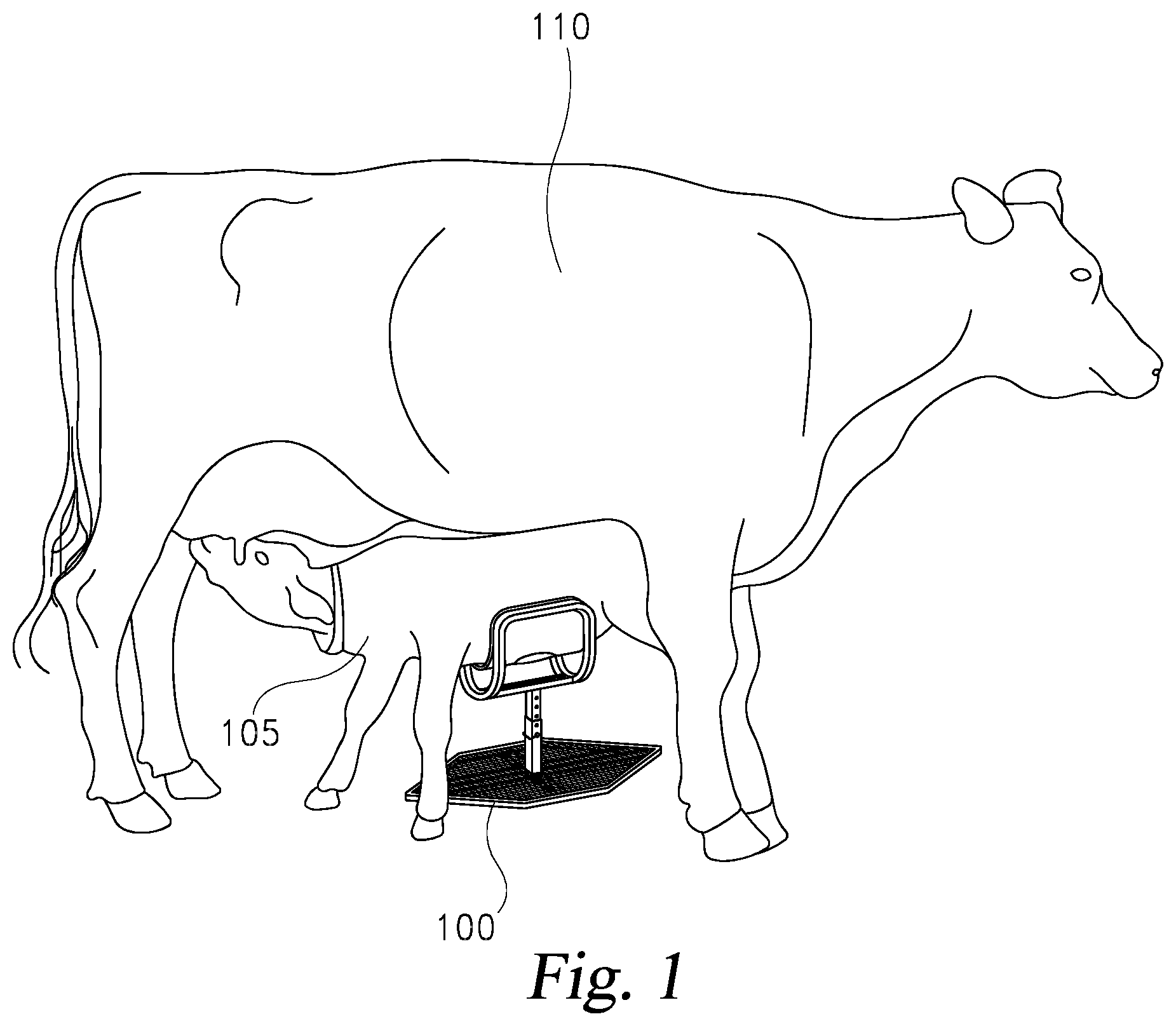 Patent US12310332 Figure 1 – Calf nursing cradle
