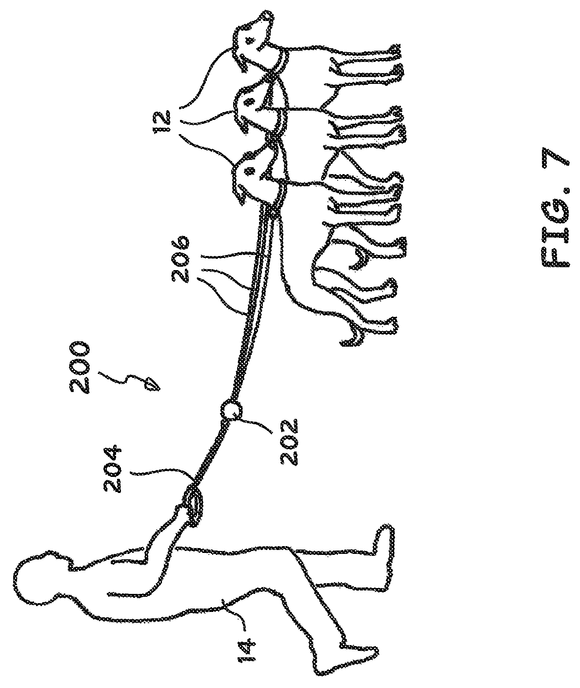 Patent US12310334 Figure 4 – Multi-lead dog leash system