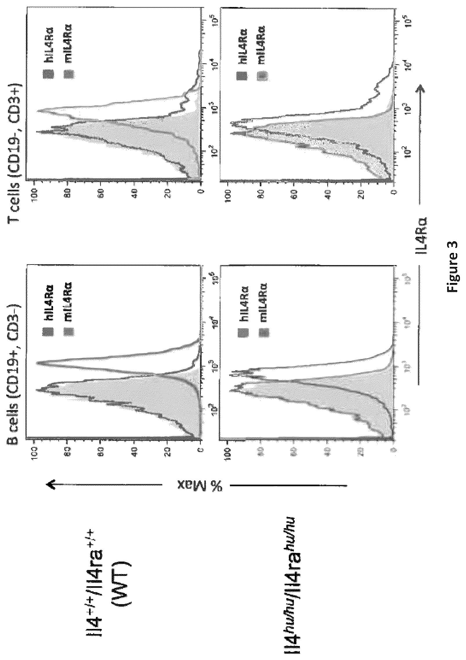 Patent US12310340 Figure 4 – Humanized IL-4 and IL-4Rα animals