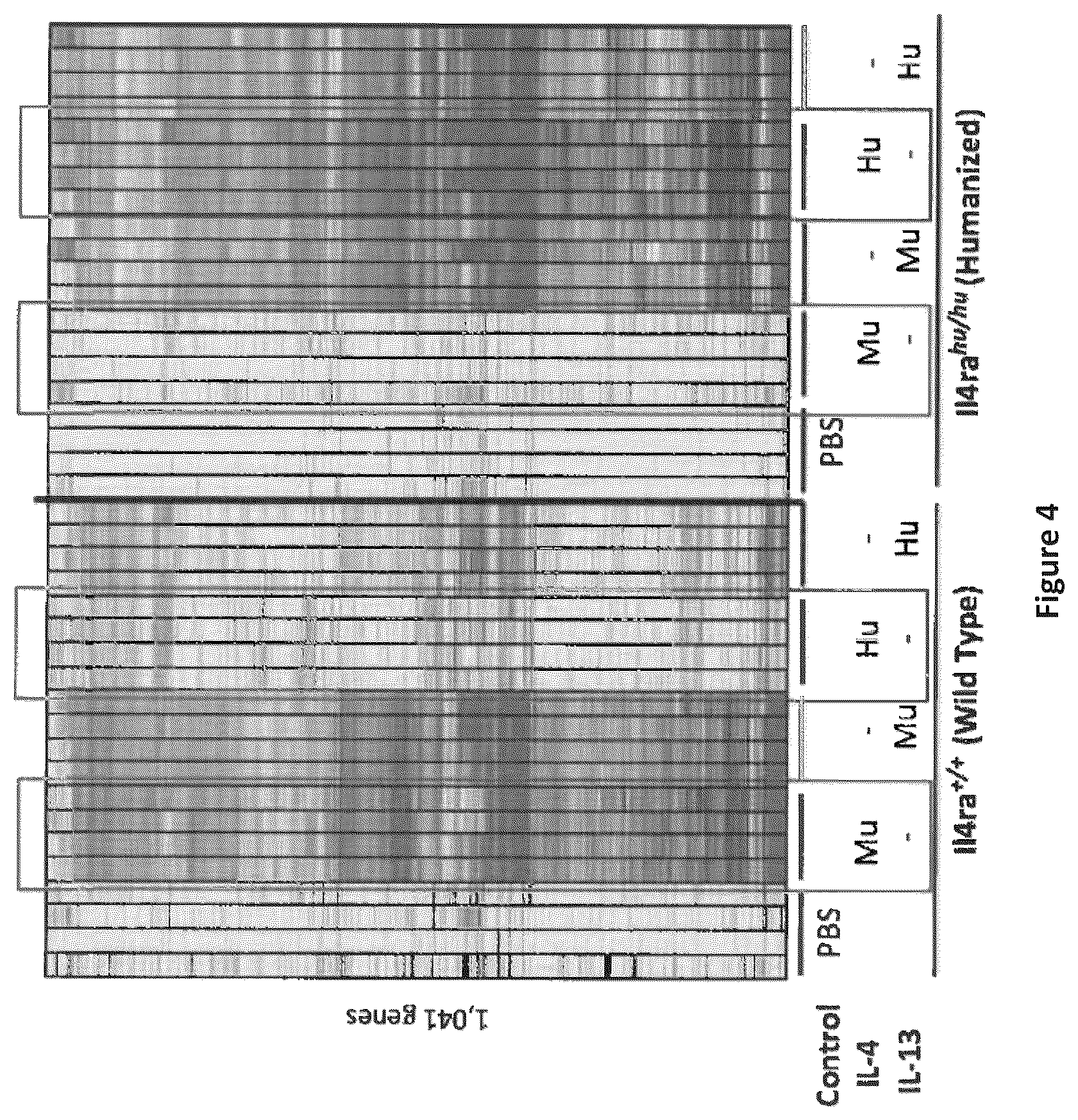 Patent US12310340 Figure 5 – Humanized IL-4 and IL-4Rα animals