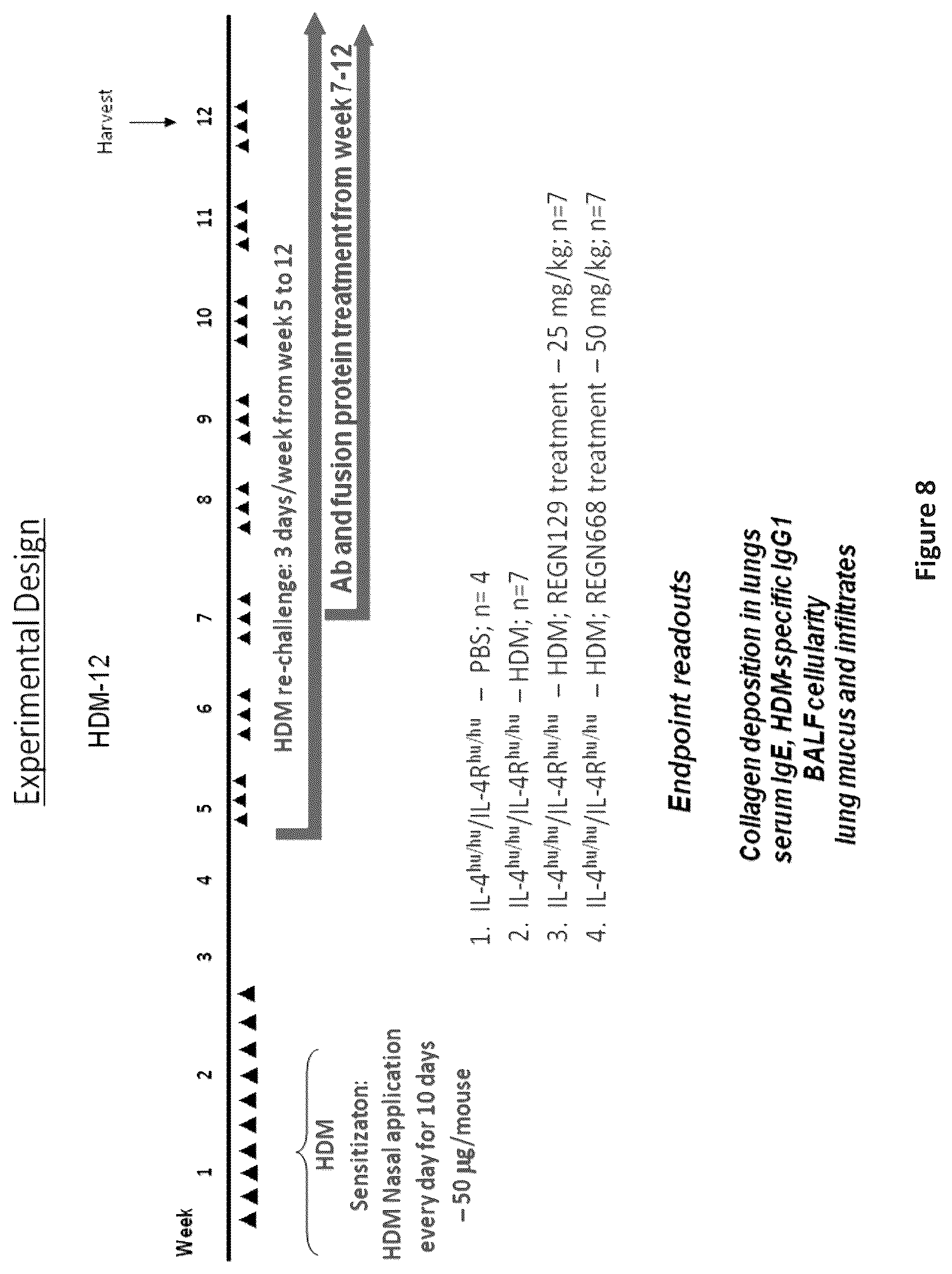 Patent US12310340 Figure 8 – Humanized IL-4 and IL-4Rα animals