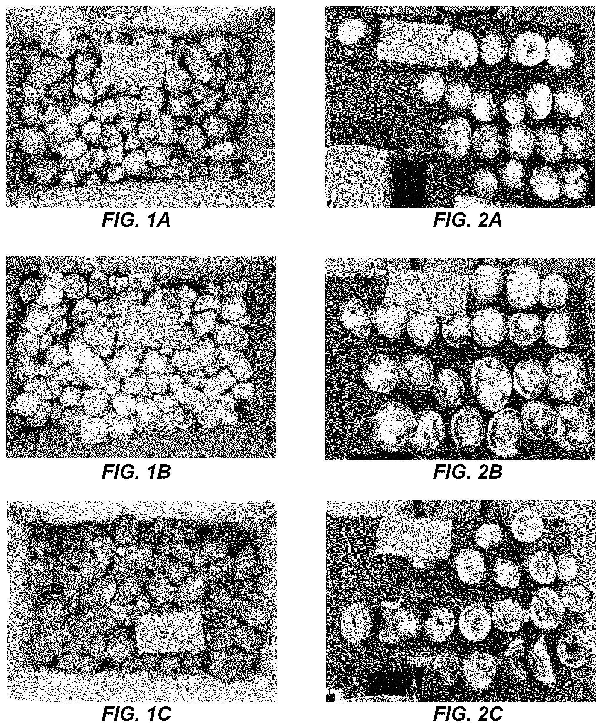 Patent US12310369 Figure 1 – Anti-microbial treatment for seeds and crops