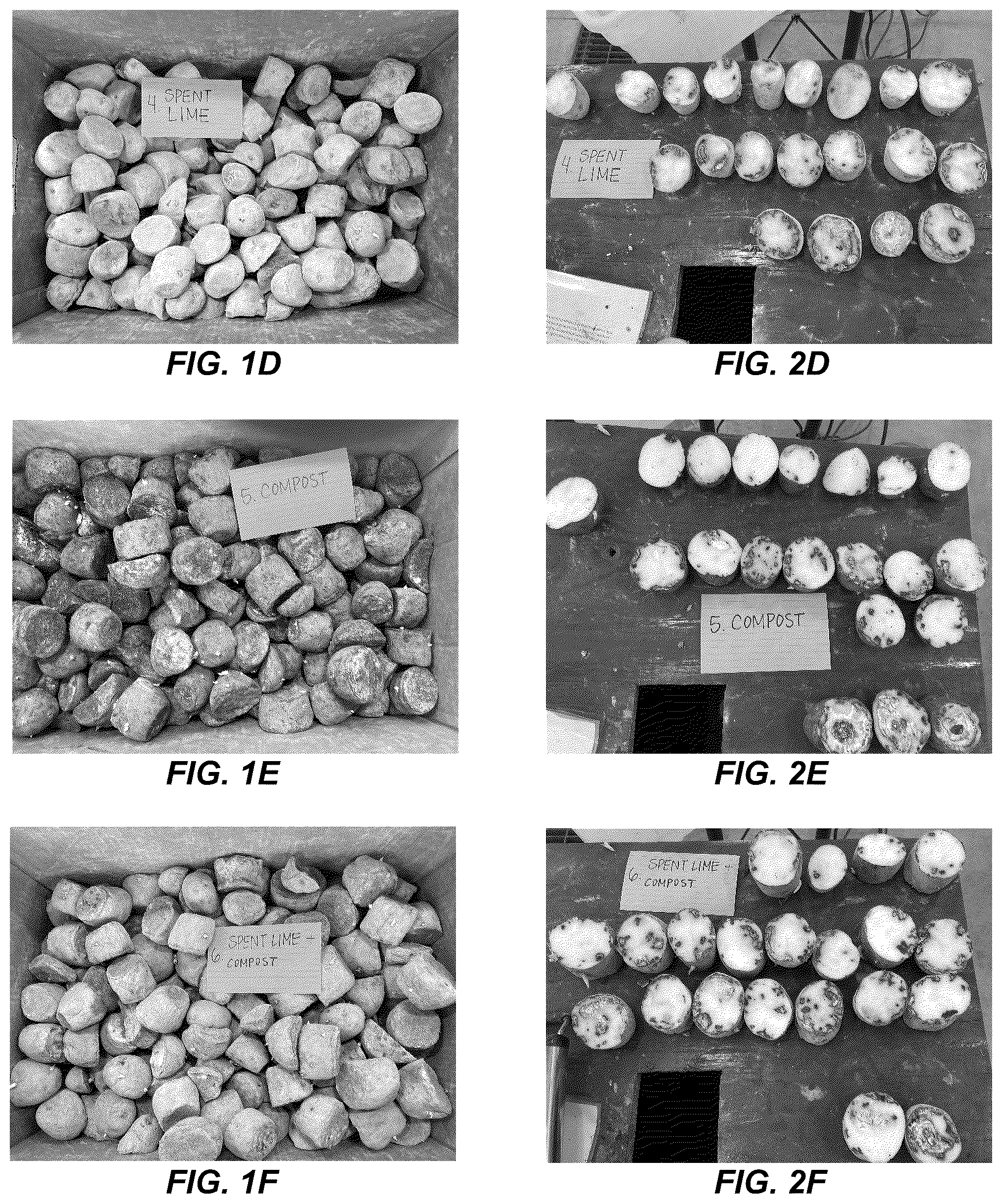 Patent US12310369 Figure 2 – Anti-microbial treatment for seeds and crops