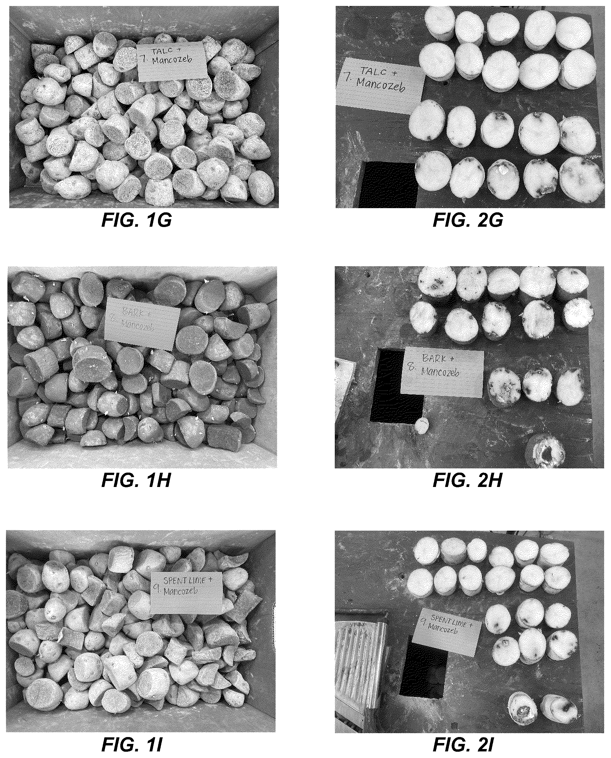 Patent US12310369 Figure 3 – Anti-microbial treatment for seeds and crops