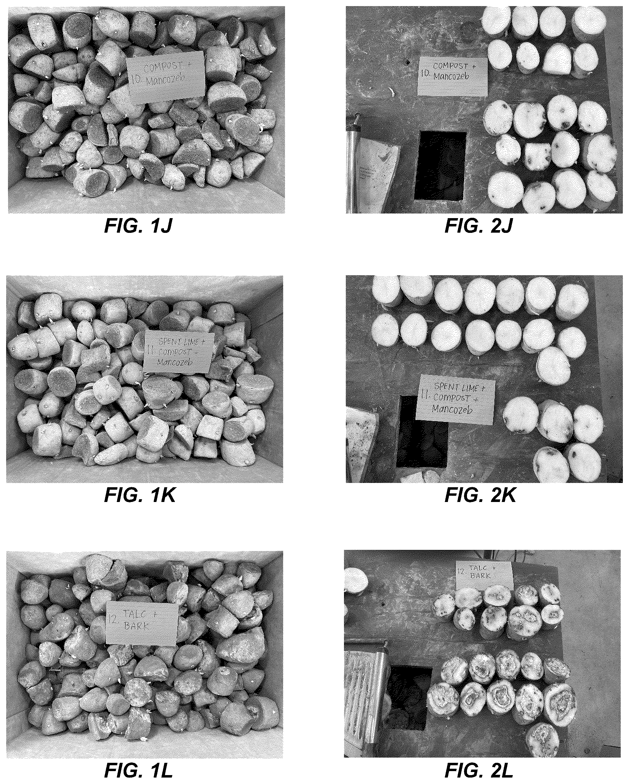 Patent US12310369 Figure 4 – Anti-microbial treatment for seeds and crops
