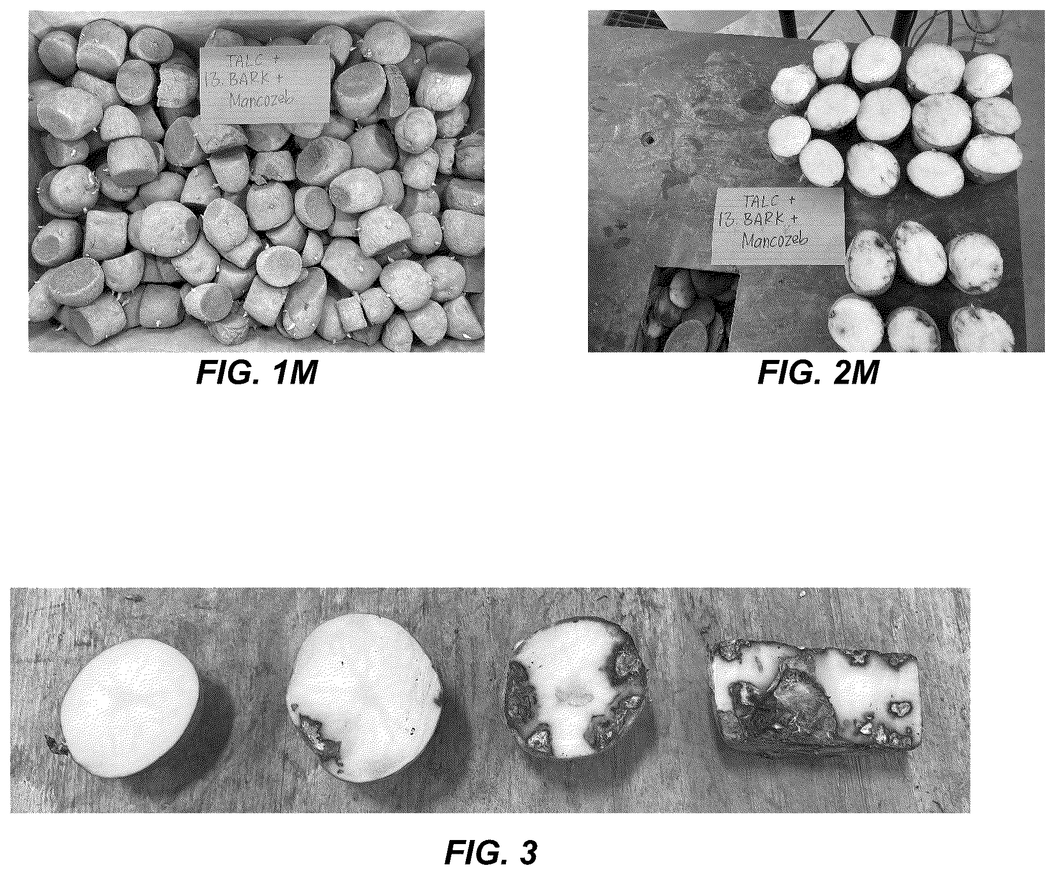 Patent US12310369 Figure 5 – Anti-microbial treatment for seeds and crops