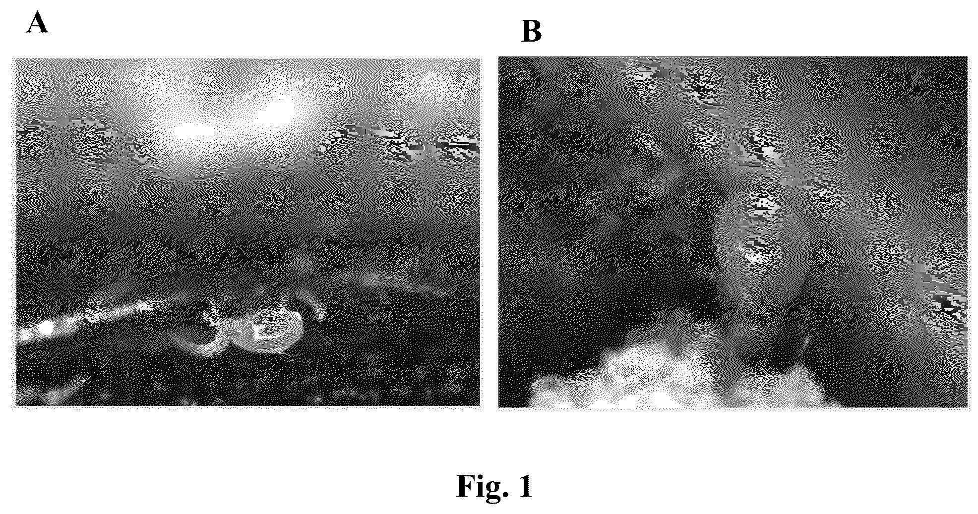 Patent US12310370 — Methods for rearing and controlled release of biological control agents — Figure 1