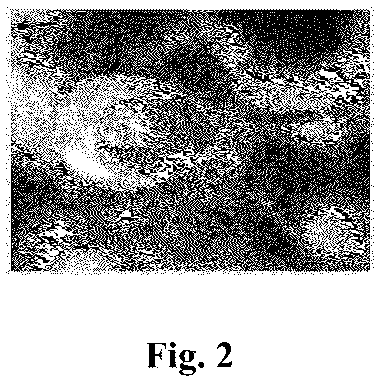 Patent US12310370 Figure 2 – Methods for rearing and controlled release of biological control agents