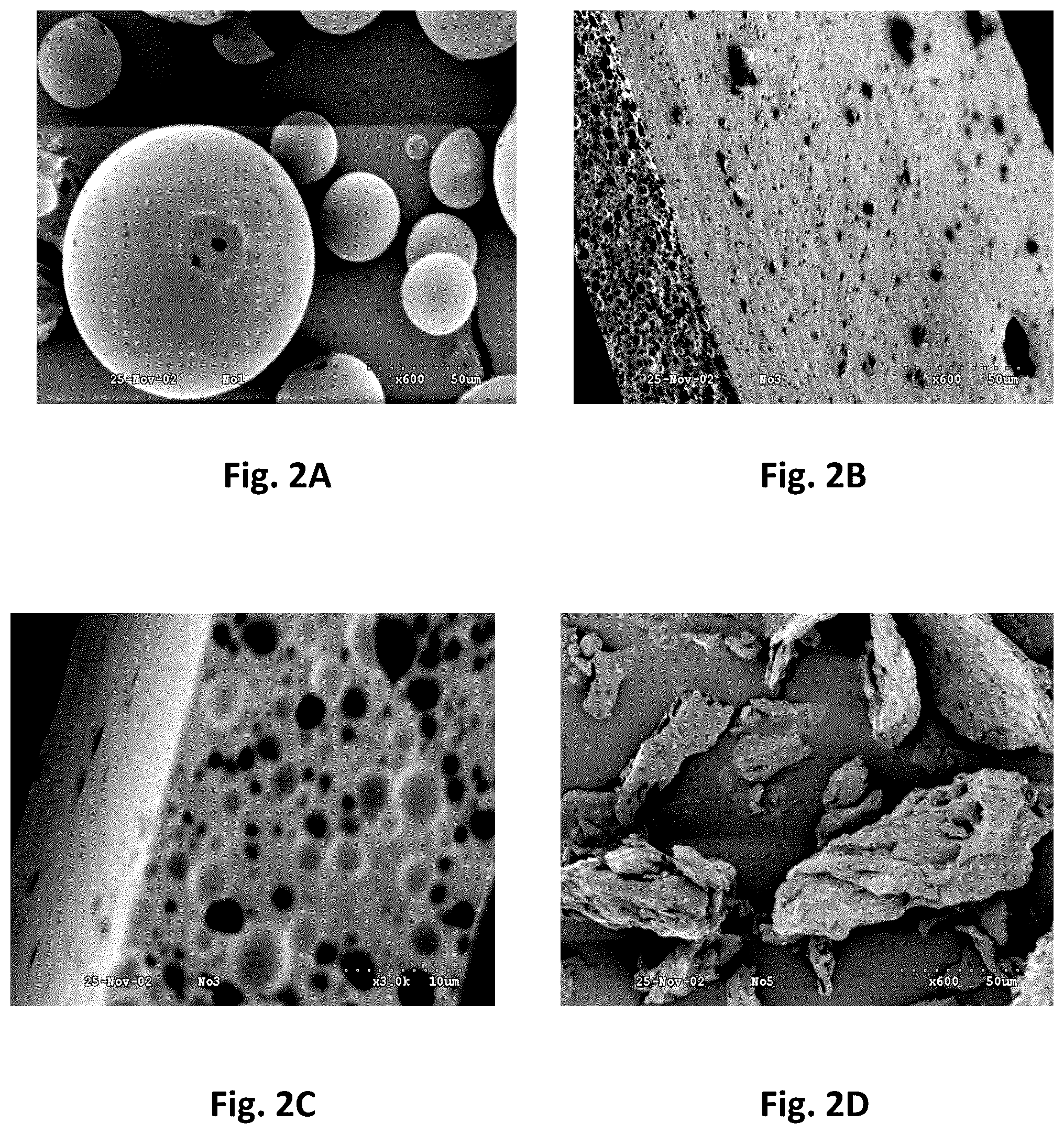 Patent US12310379 Figure 2 – Dried flakes with active ingredients