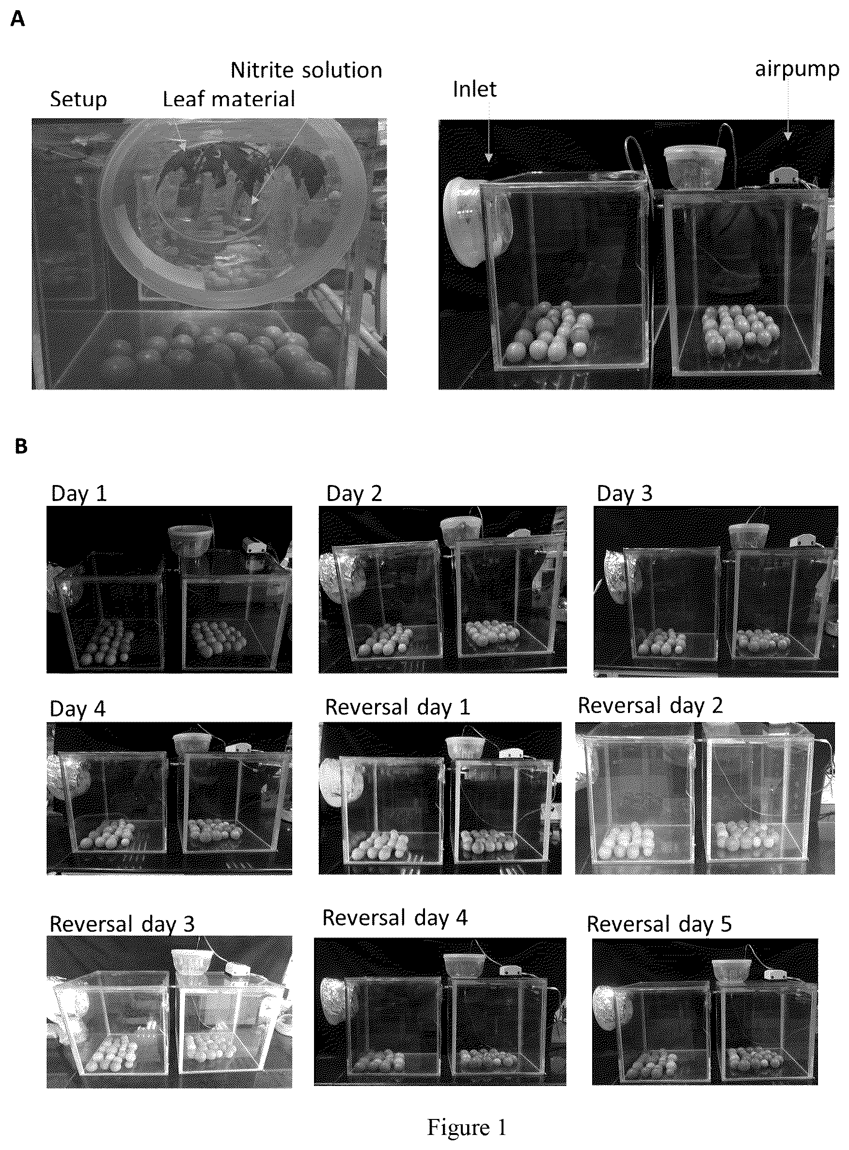 Patent US12310380 Figure 1 – Method for extending shelf-life of agricultural produce