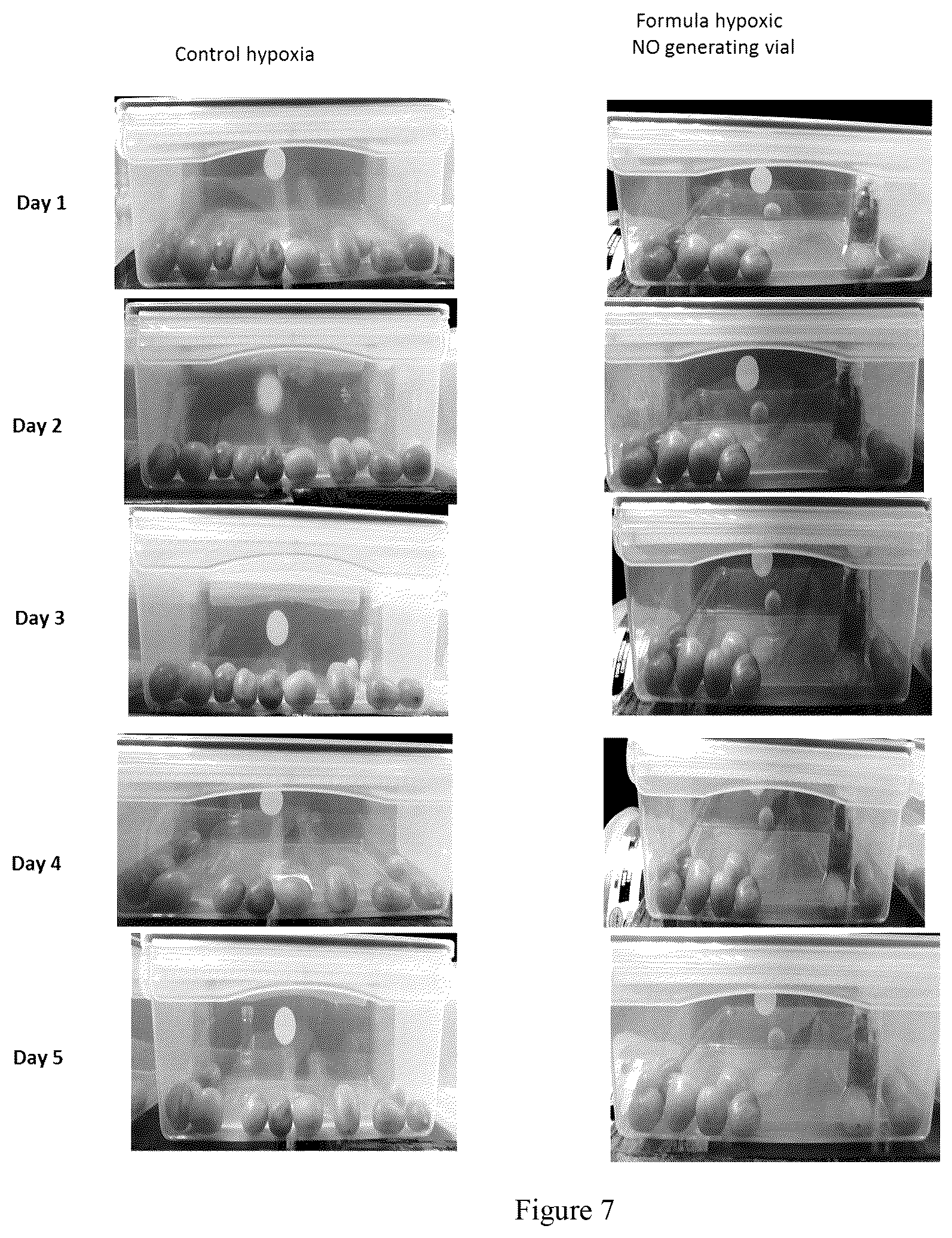 Patent US12310380 Figure 7 – Method for extending shelf-life of agricultural produce
