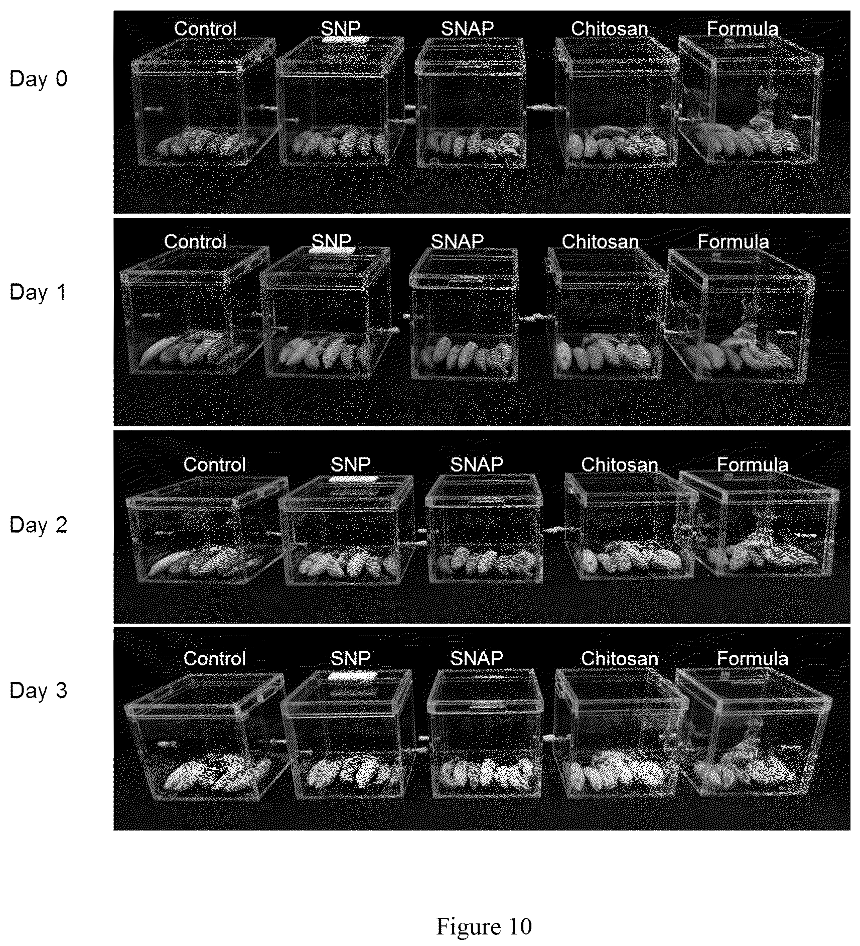 Patent US12310380 Figure 10 – Method for extending shelf-life of agricultural produce