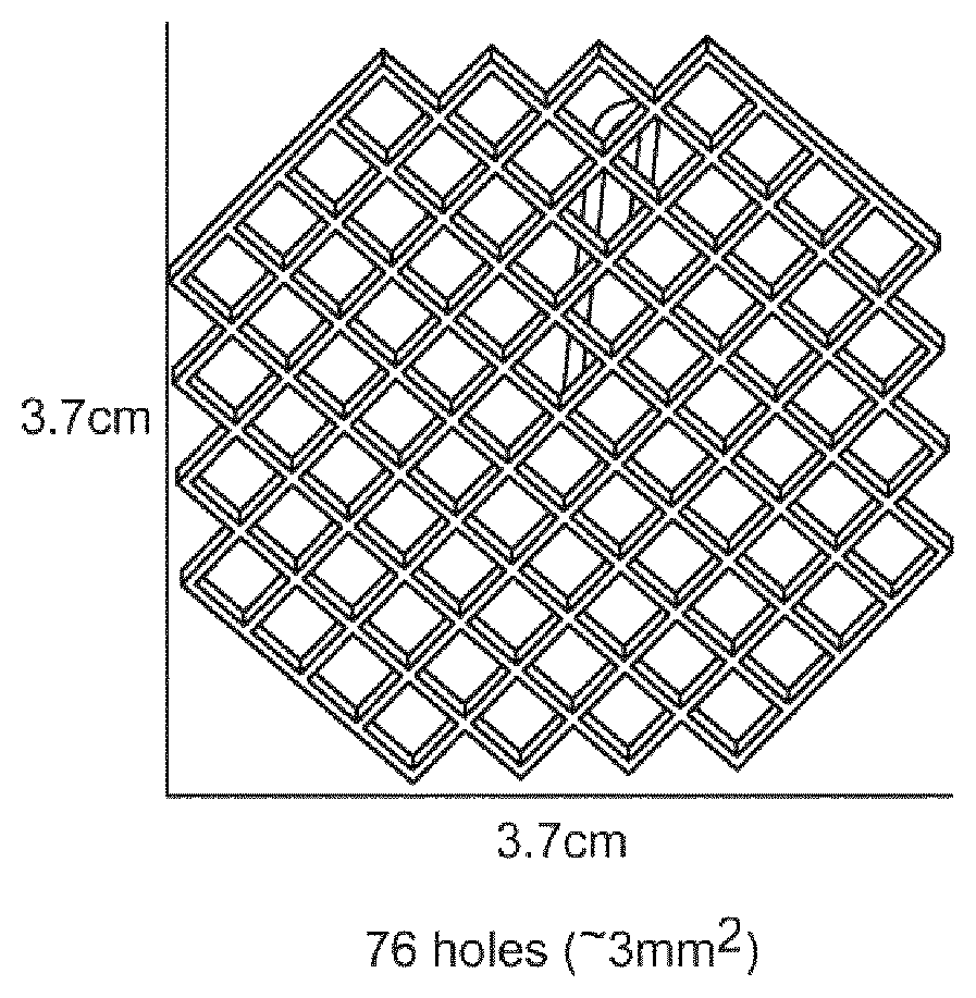 Patent US12310388 Figure 1 – Dressing composition comprising plant protein
