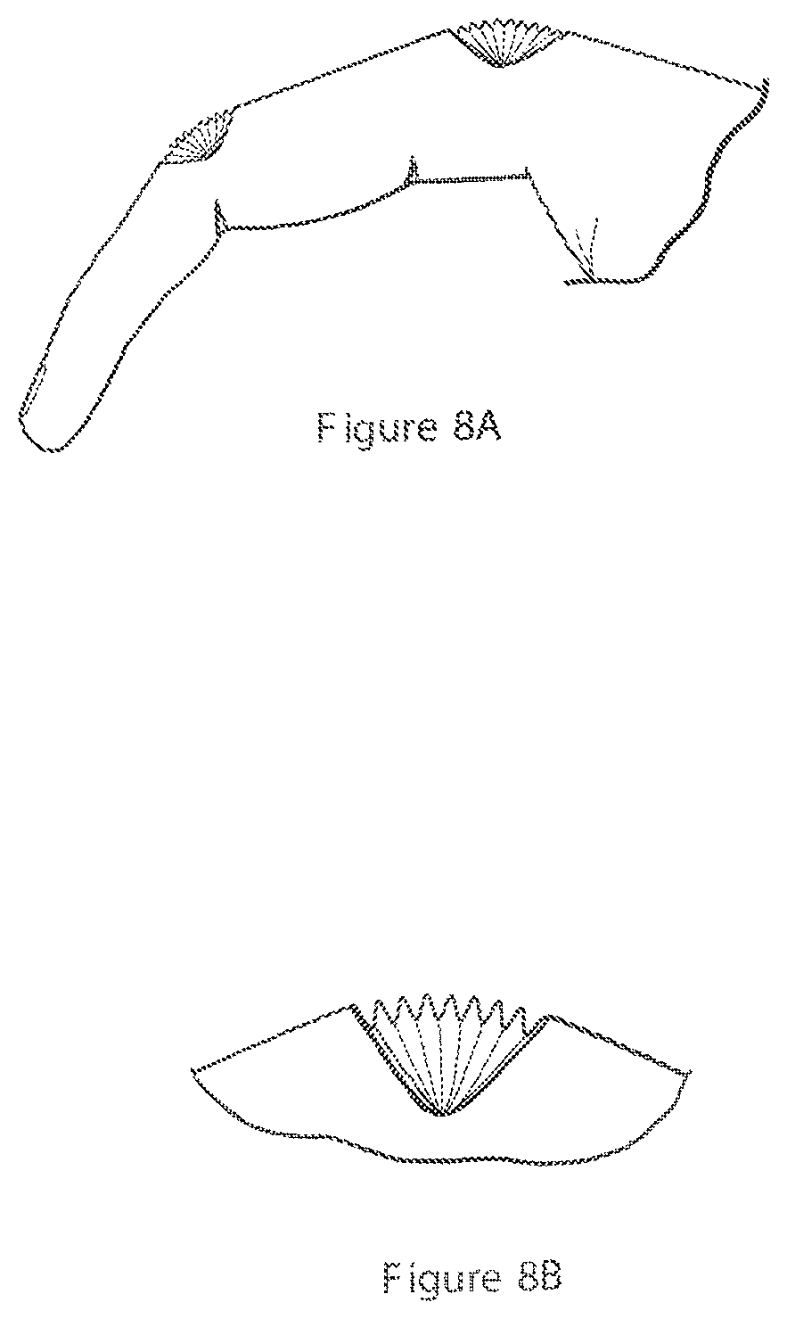 Patent US12310437 Figure 5 – Medical/dental/utility glove with anti-fatigue and ergonomic improvement