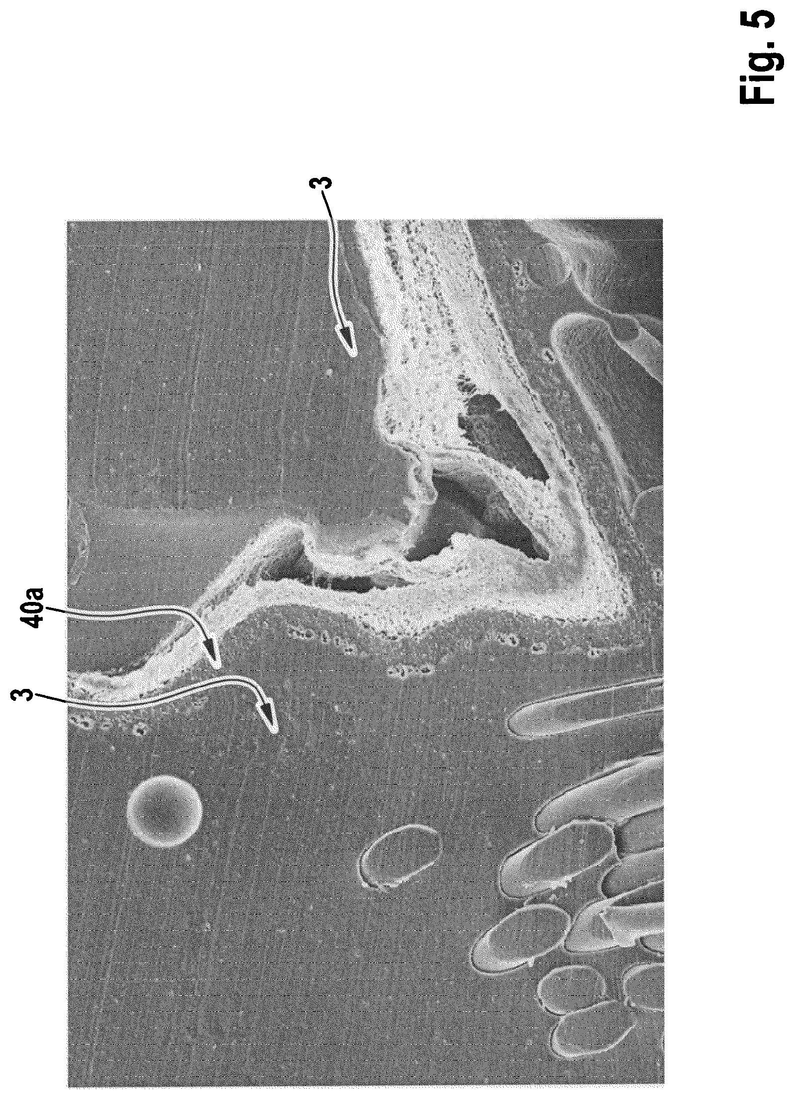 Patent US12310453 Figure 7 – Layered product with functional membrane, footwear comprising such layered product, and manufacturing method