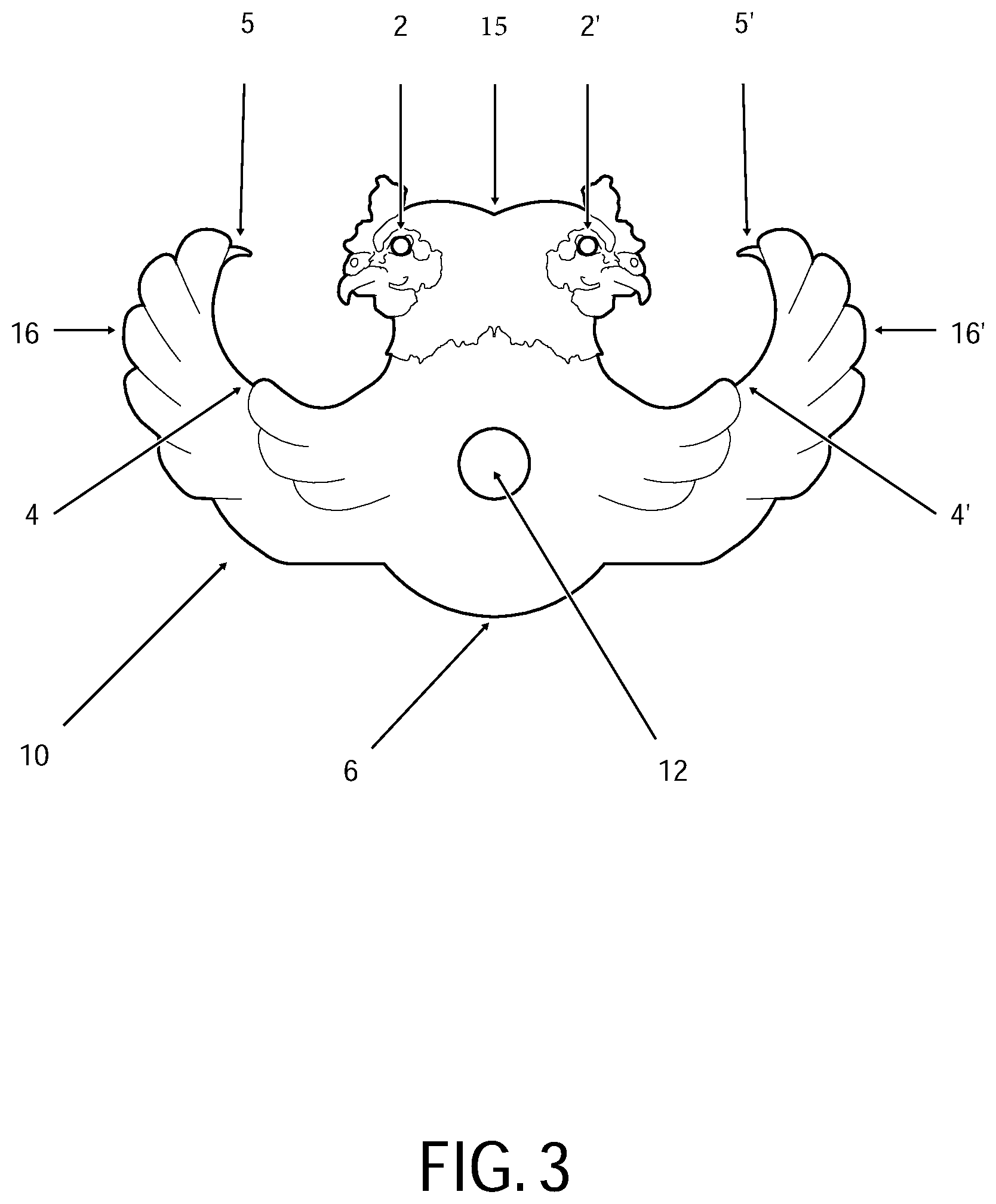 Patent US12310536 Figure 3 – Retaining device for trussing and cooking fowl