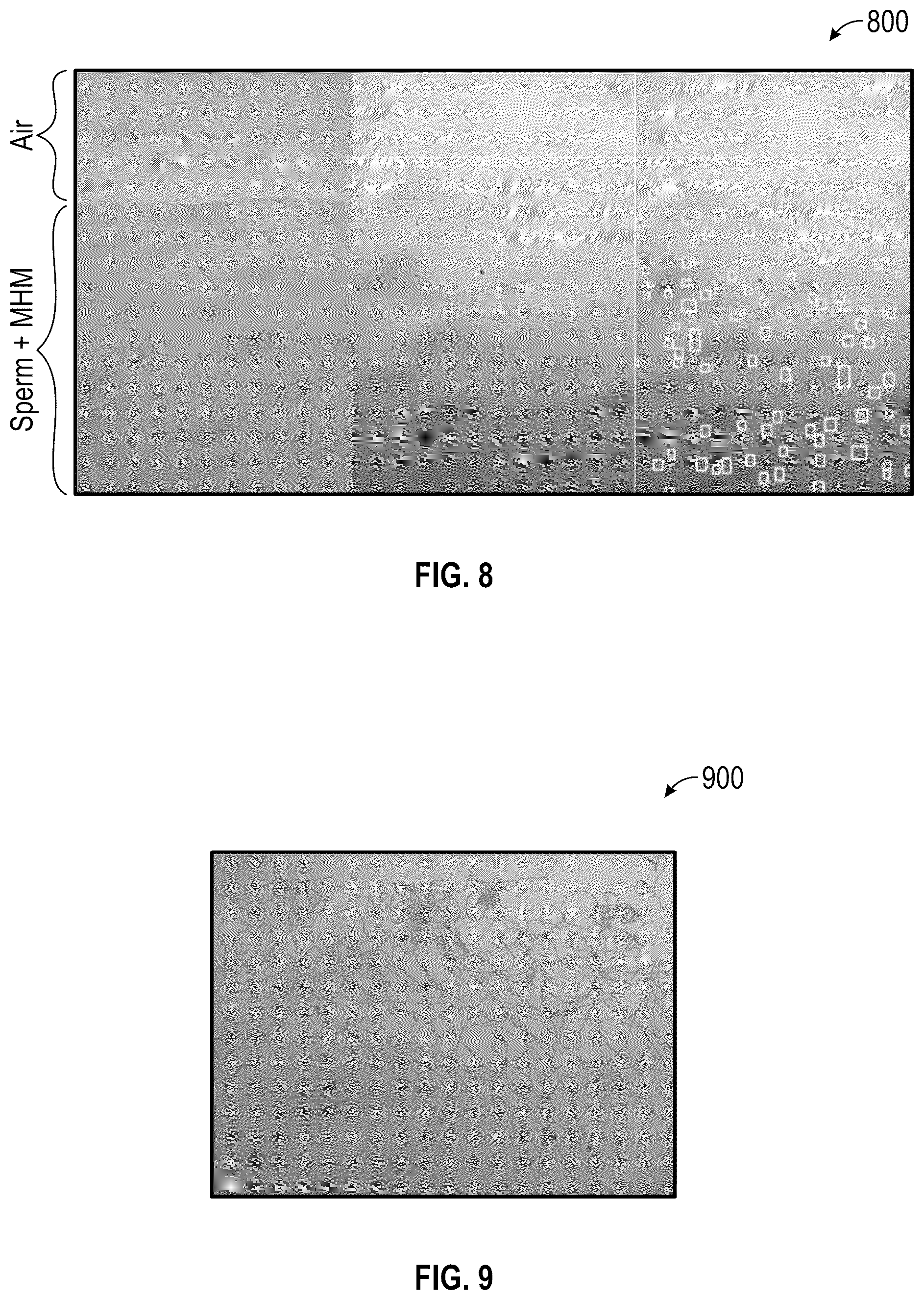 Patent US12310625 Figure 8 – Autonomous insemination in an intelligent automated in vitro fertilization and intracytoplasmic sperm injection platform