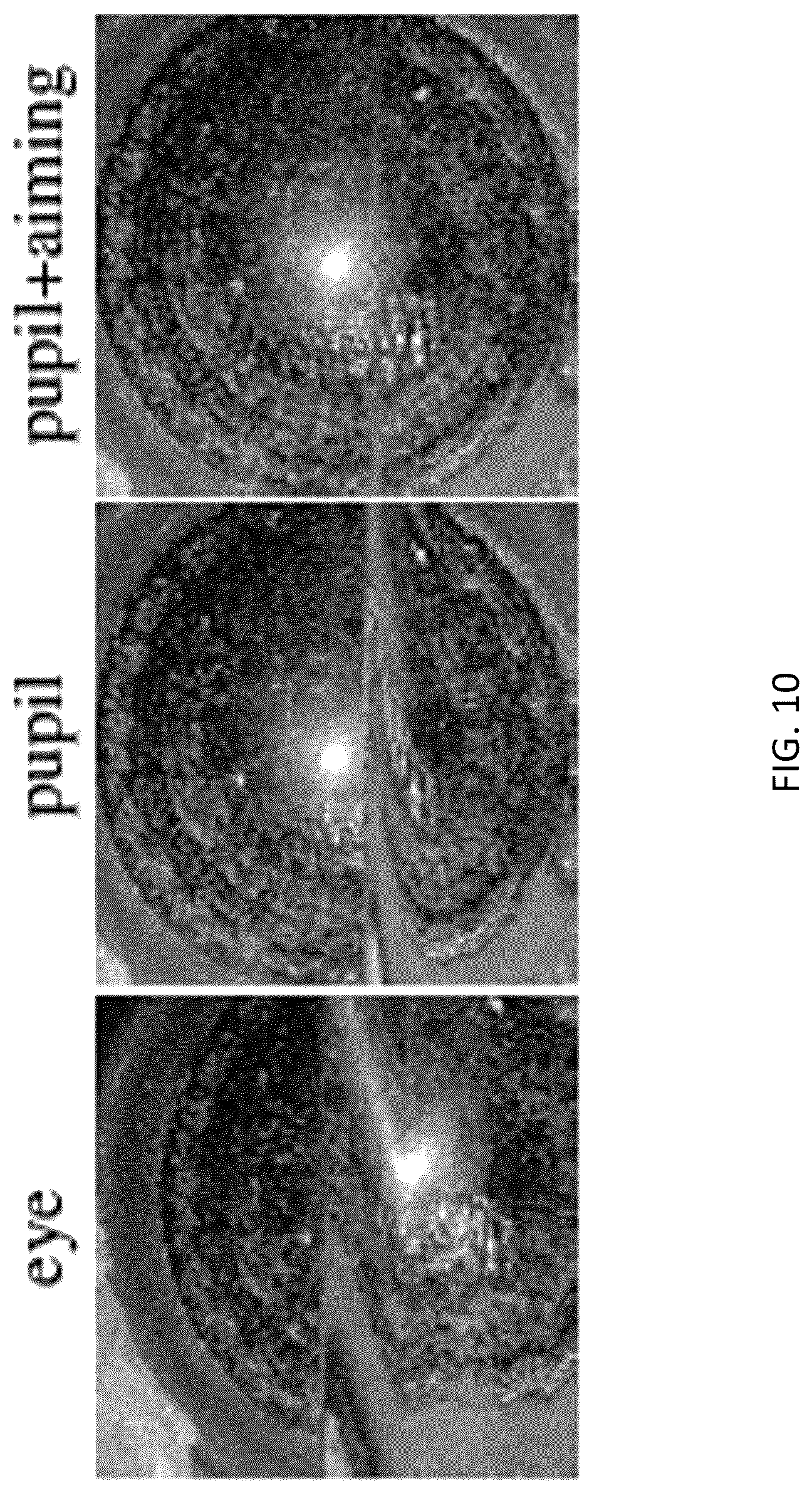 Patent US12310661 Figure 10 – Systems and methods for imaging a target feature of a subject based on tracked positions of the subject and the target feature