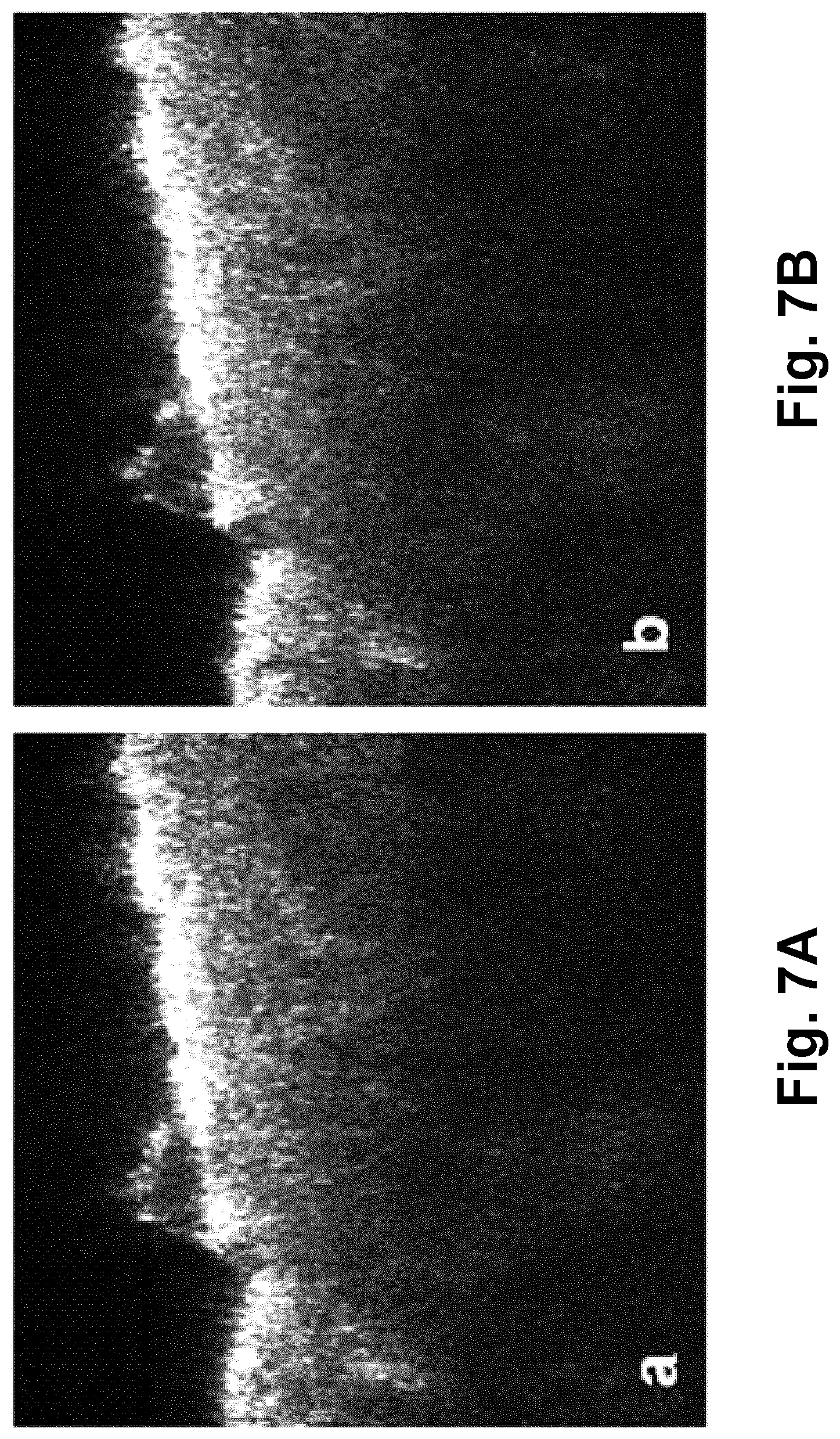 Patent US12310698 Figure 6 – Volumetric multi-modal microscopy methods and systems