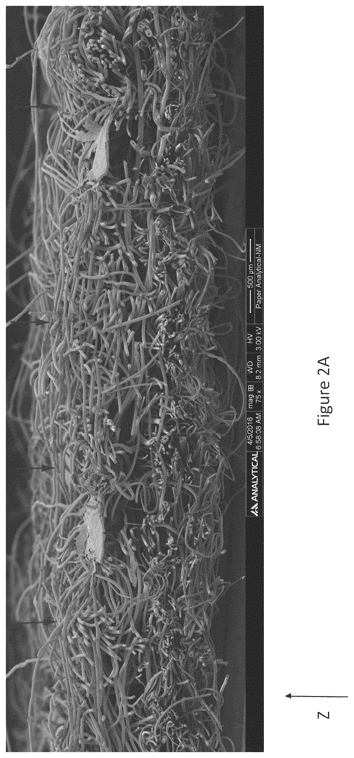 Patent US12310825 Figure 3 – Absorbent article with conforming features