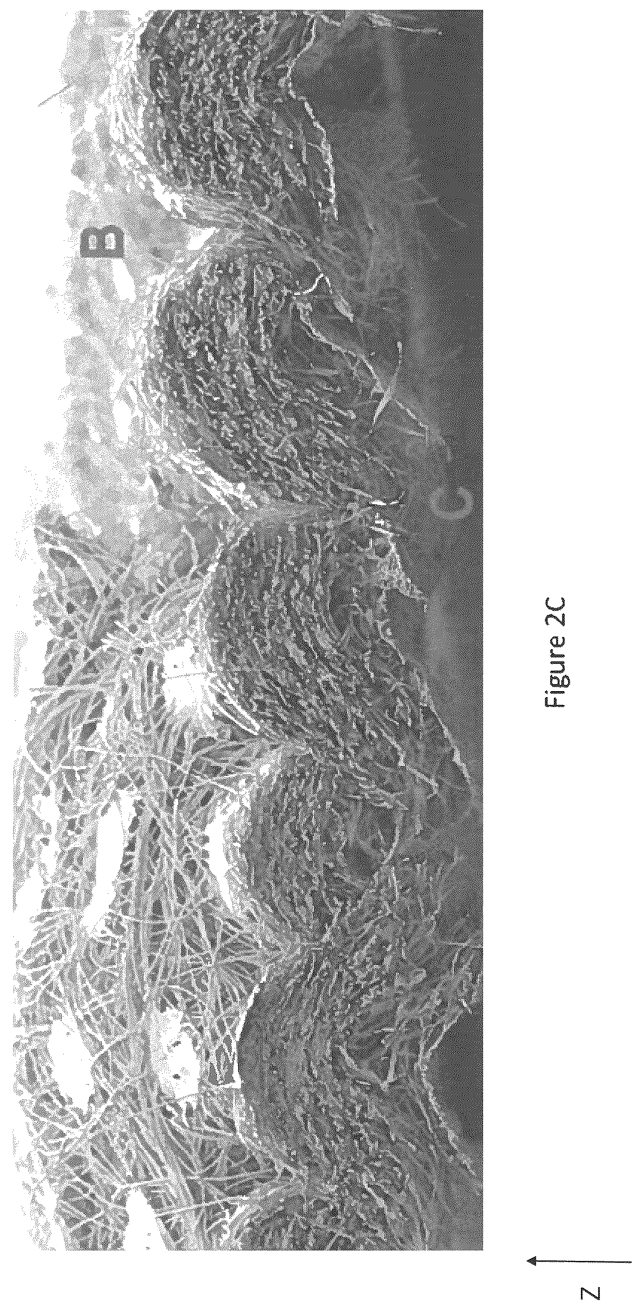 Patent US12310825 Figure 5 – Absorbent article with conforming features