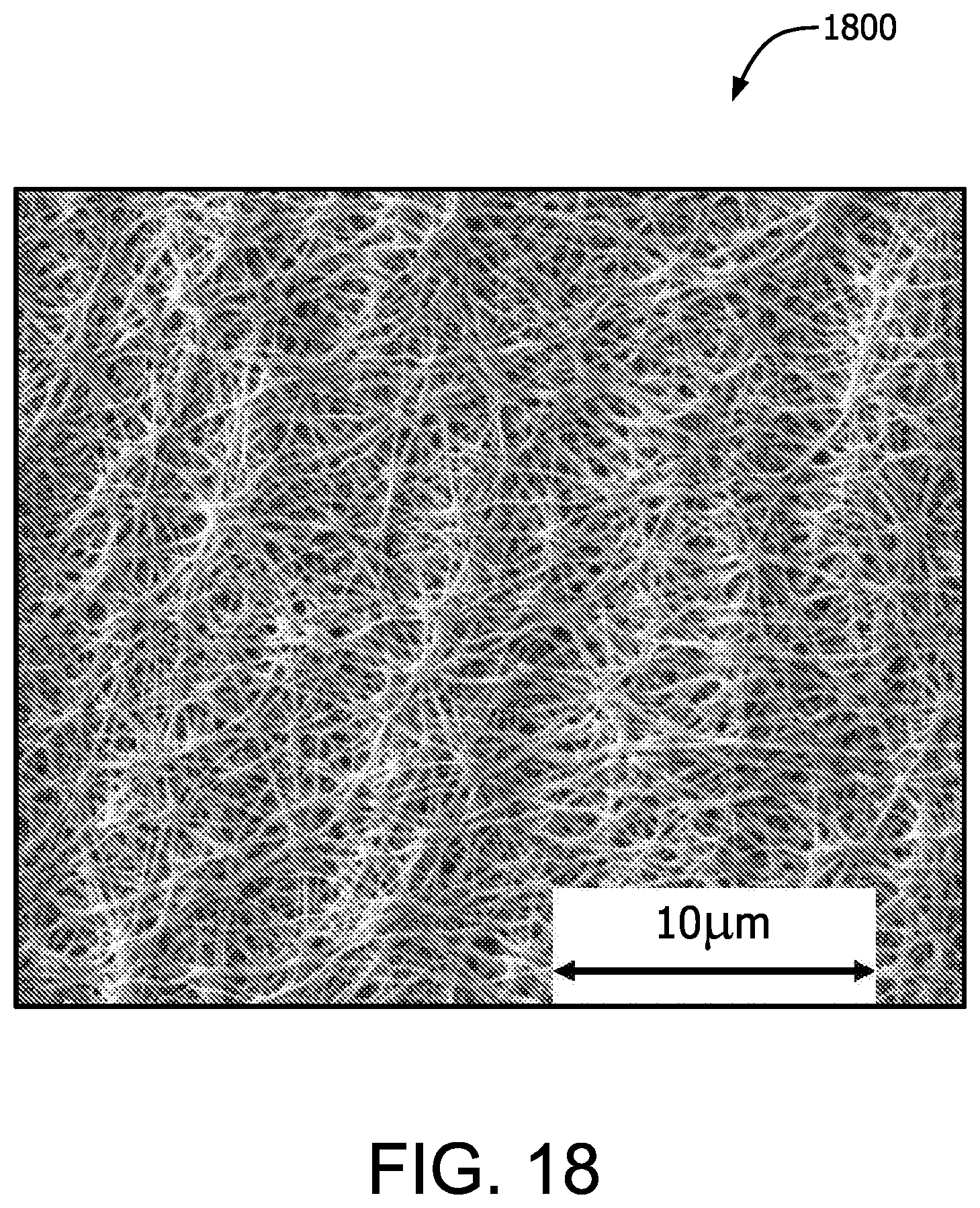 Patent US12310830 Figure 19 – Biocompatible membrane composite