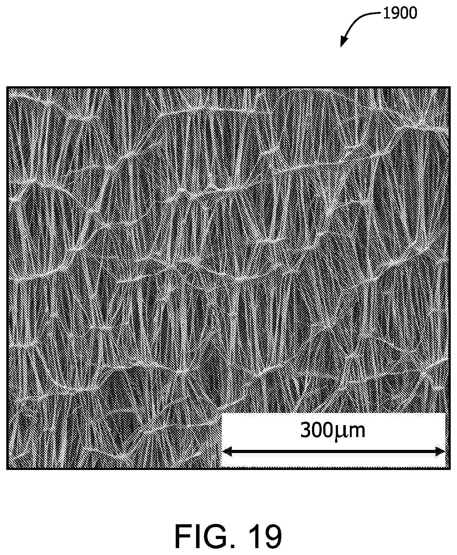 Patent US12310830 Figure 20 – Biocompatible membrane composite