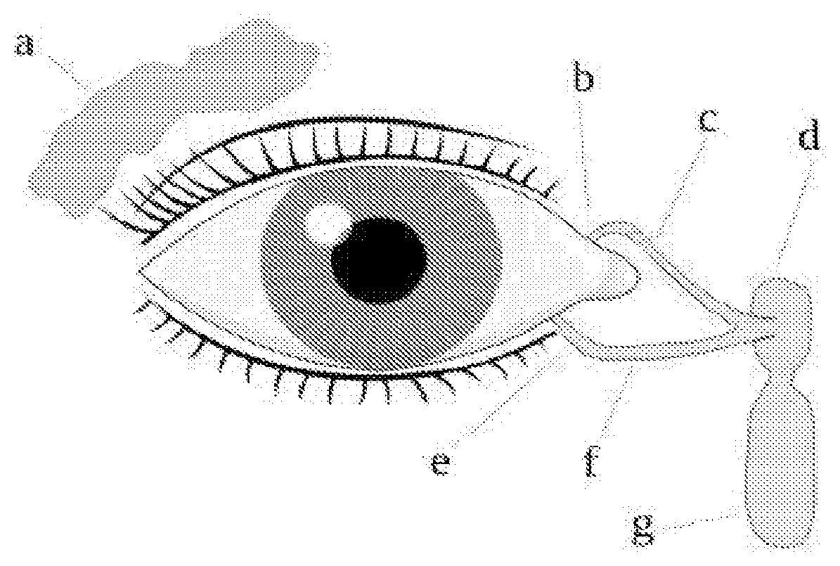 Patent US12310890 — Punctal plug and bioadhesives — Figure 1
