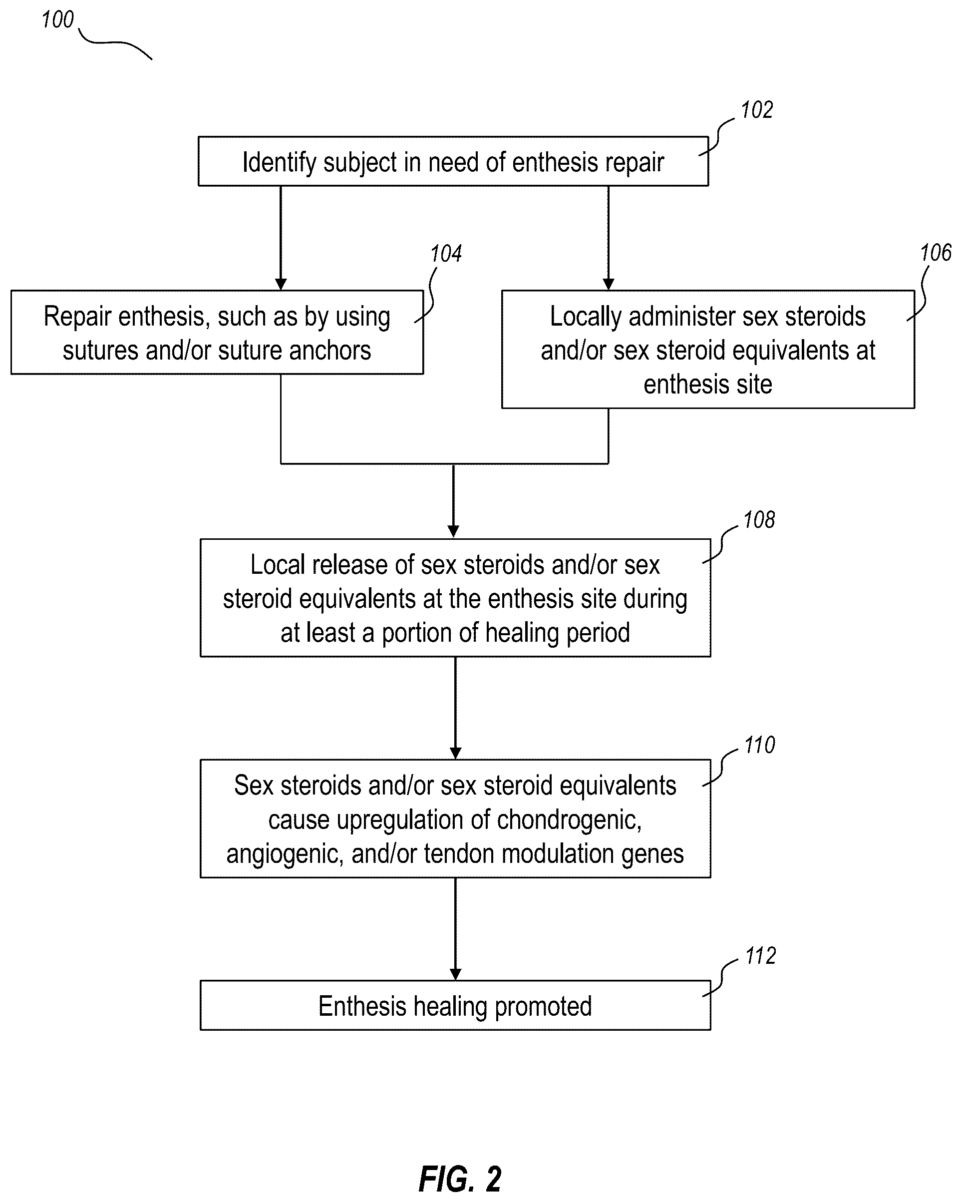 Patent US12310928 Figure 2 – Enthesis healing