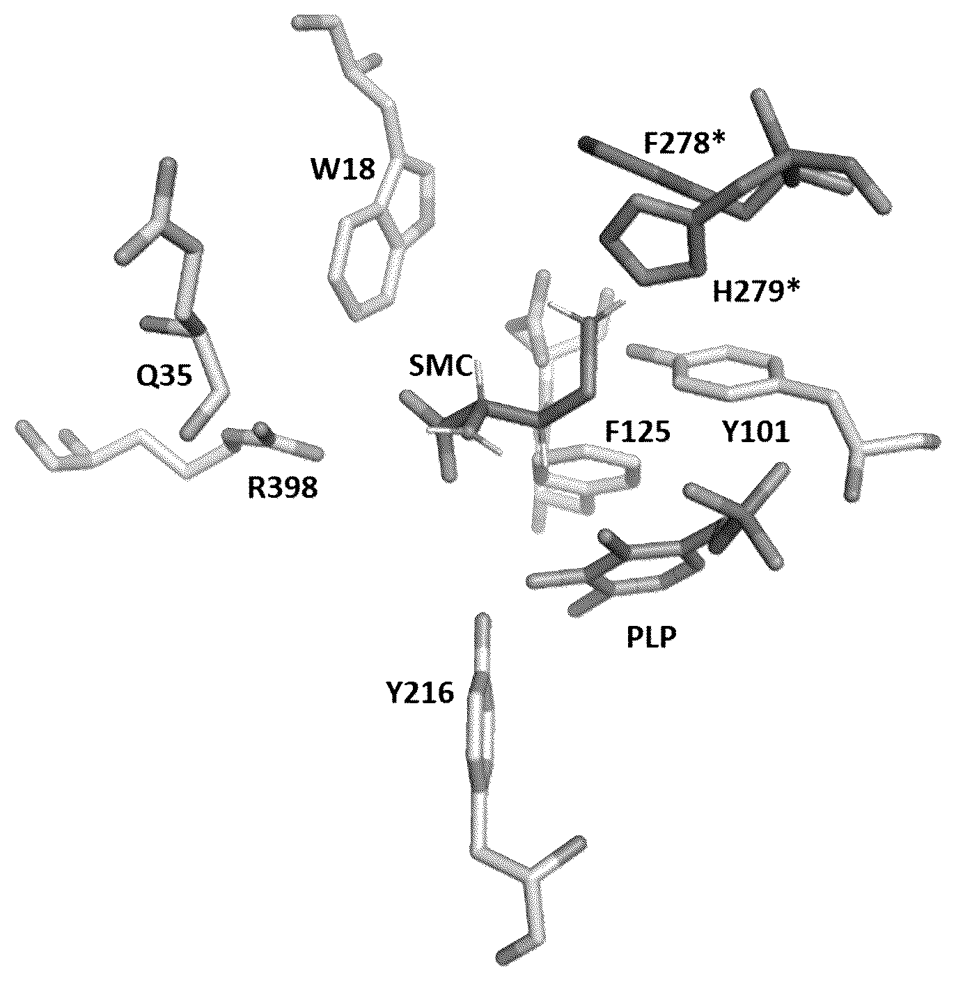 Patent US12310936 Figure 1 – Pharmaceutical compositions for the treatment of cancer