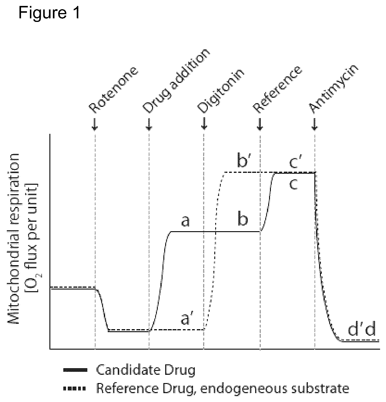 Patent US12310940 Figure 1 – Cell-permeable succinate compounds
