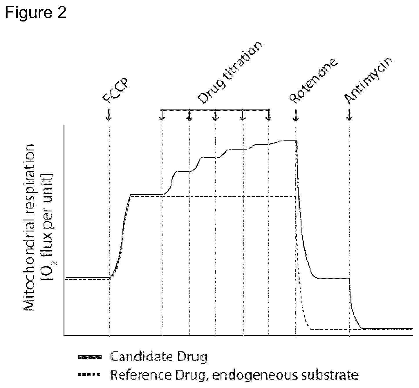 Patent US12310940 Figure 2 – Cell-permeable succinate compounds