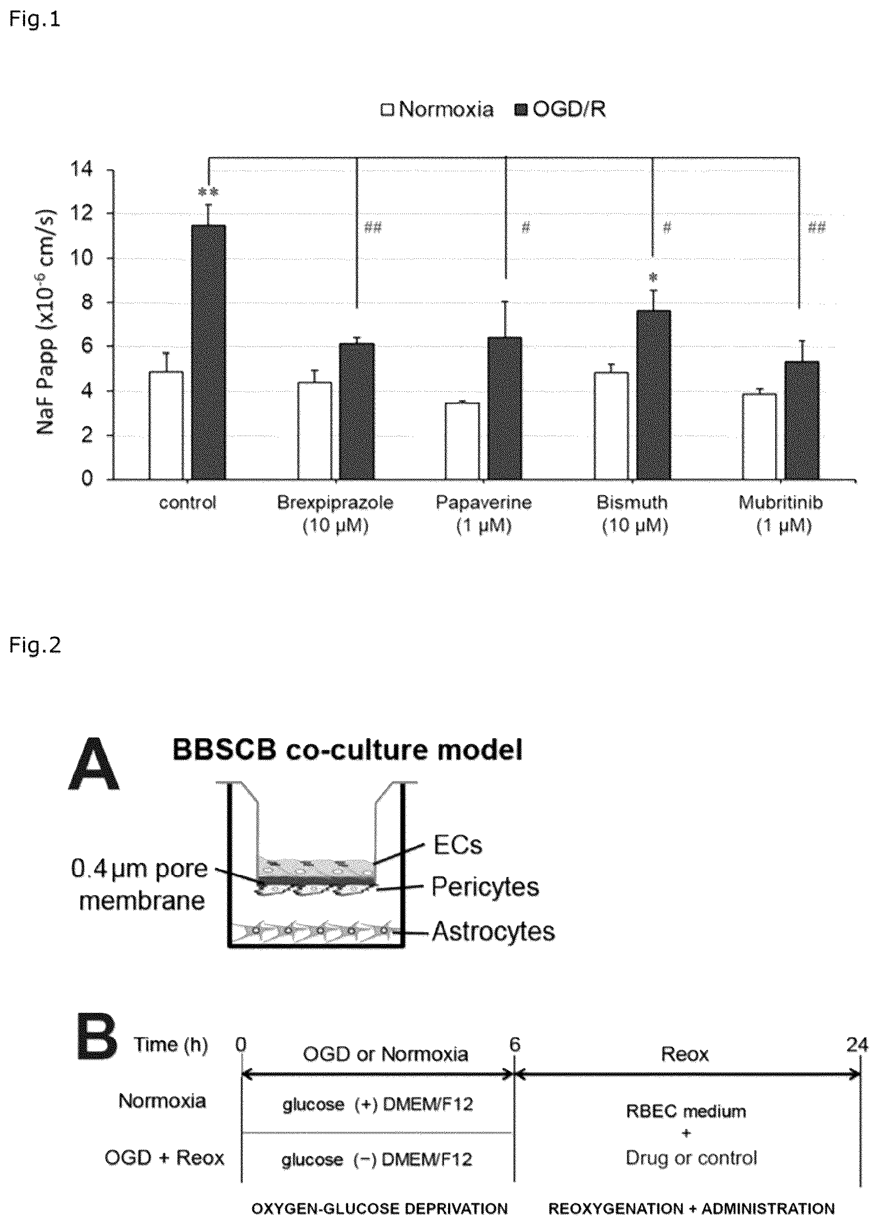 Patent US12310941 Figure 1 – Agent for protection of blood brain spinal cord barrier
