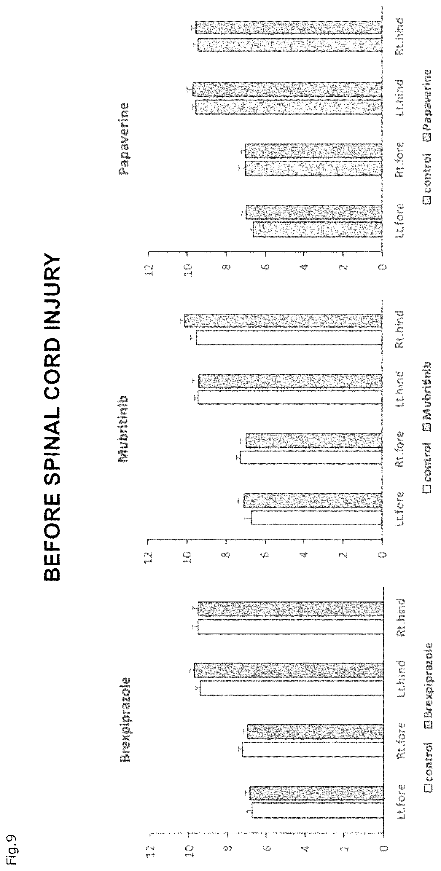 Patent US12310941 Figure 6 – Agent for protection of blood brain spinal cord barrier