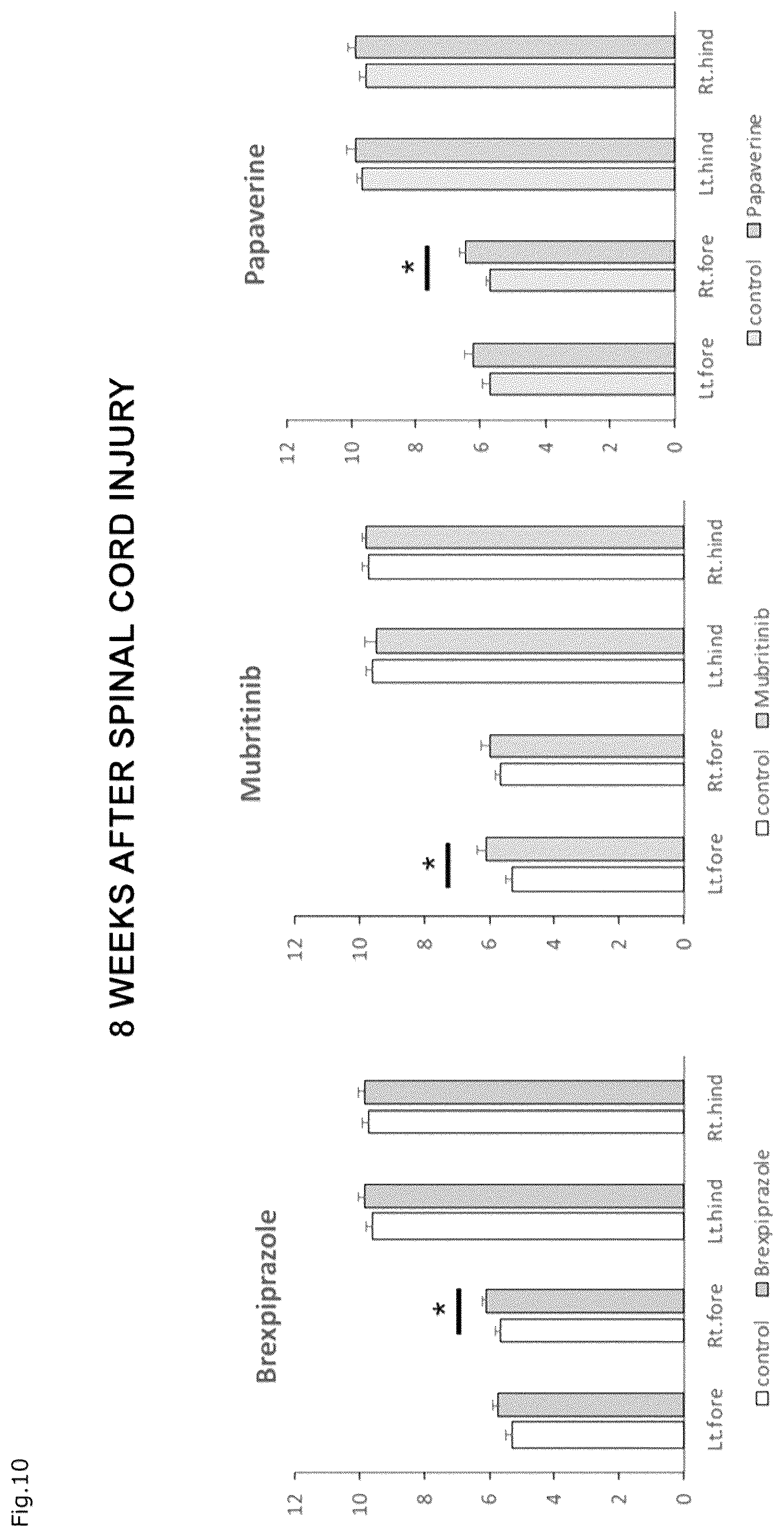 Patent US12310941 Figure 7 – Agent for protection of blood brain spinal cord barrier