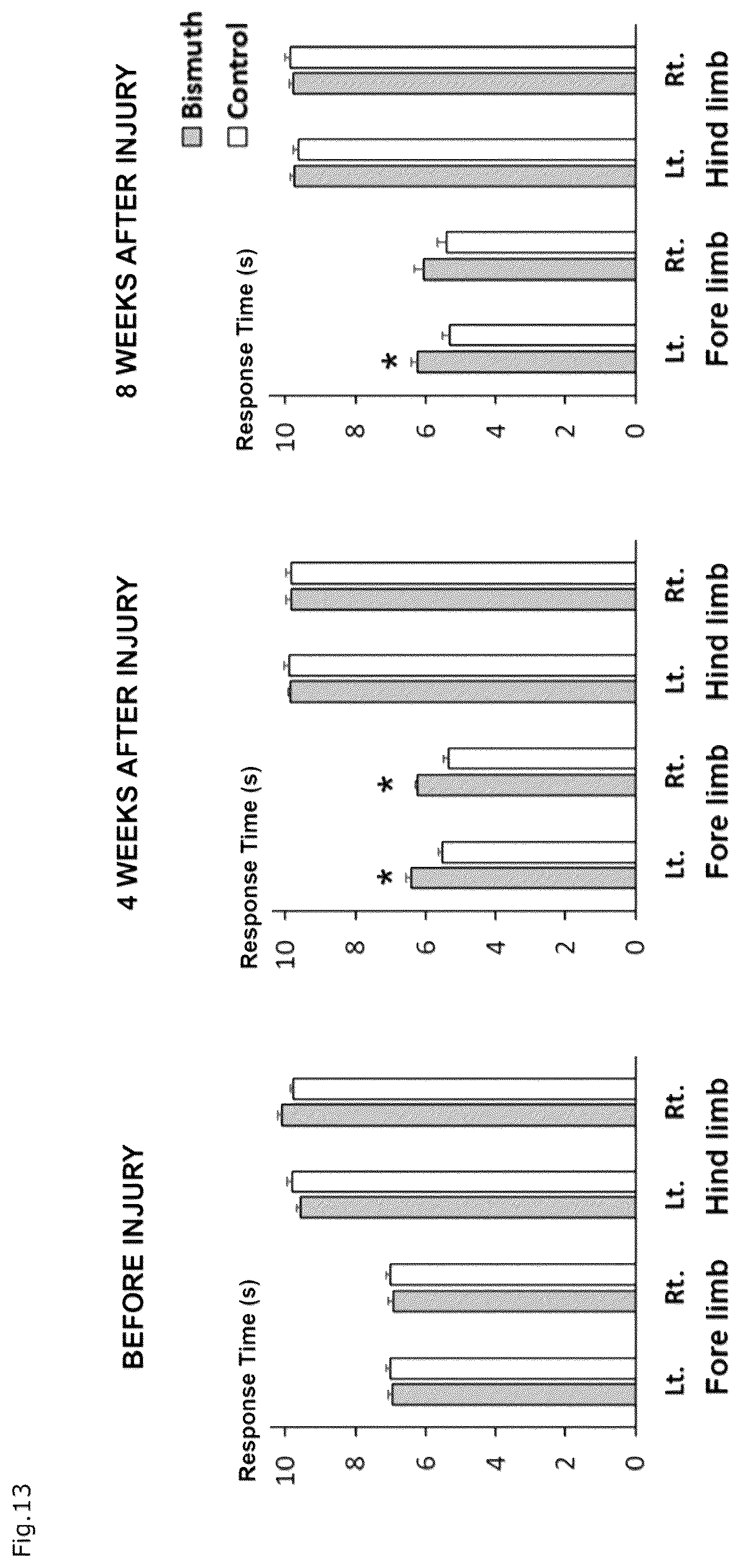 Patent US12310941 Figure 10 – Agent for protection of blood brain spinal cord barrier