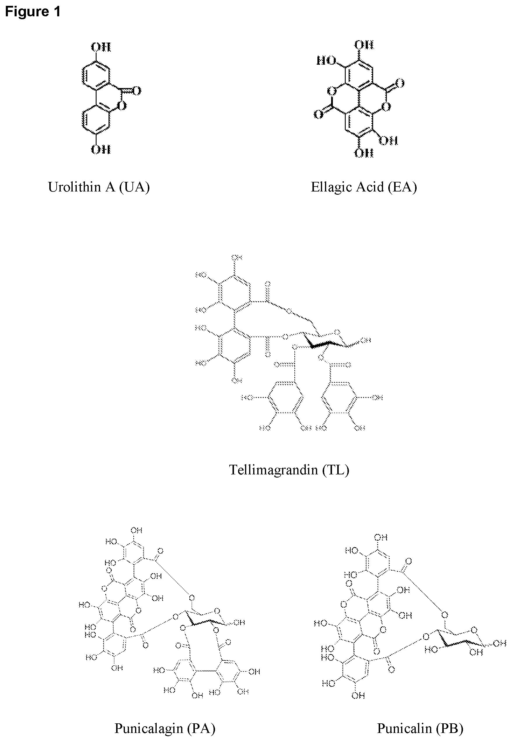 Patent US12310943 Figure 1 – Compositions and methods for improving mitochondrial function and treating neurodegenerative diseases and cognitive disorders