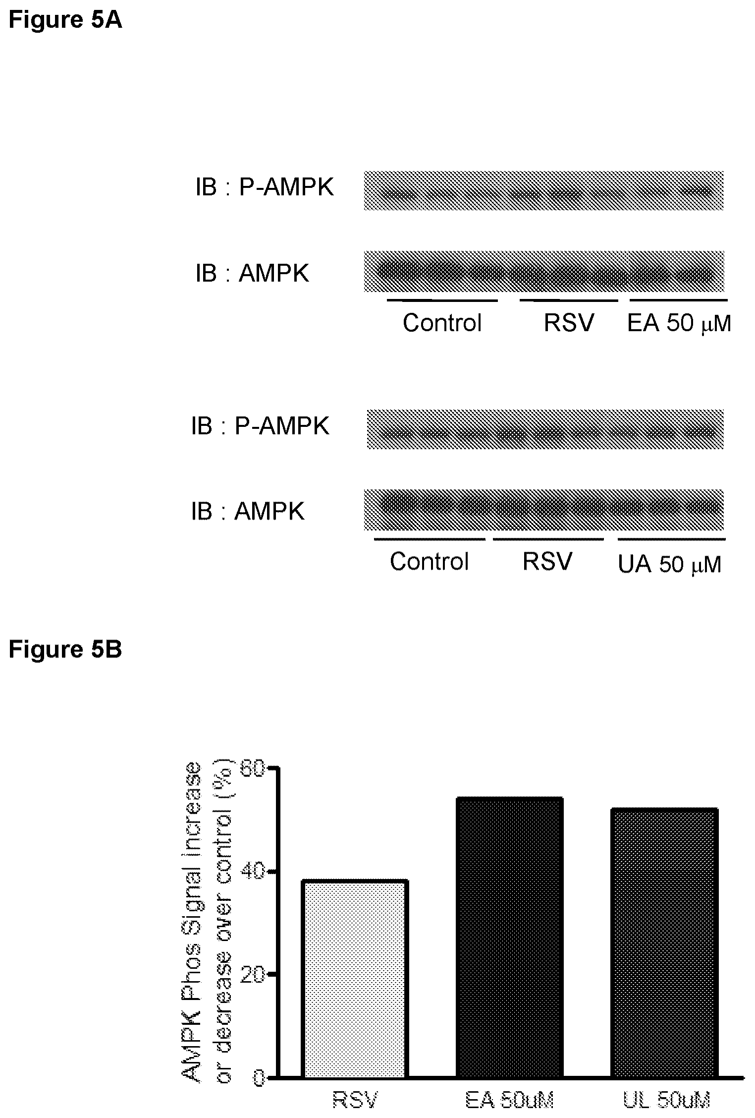 Patent US12310943 Figure 5 – Compositions and methods for improving mitochondrial function and treating neurodegenerative diseases and cognitive disorders