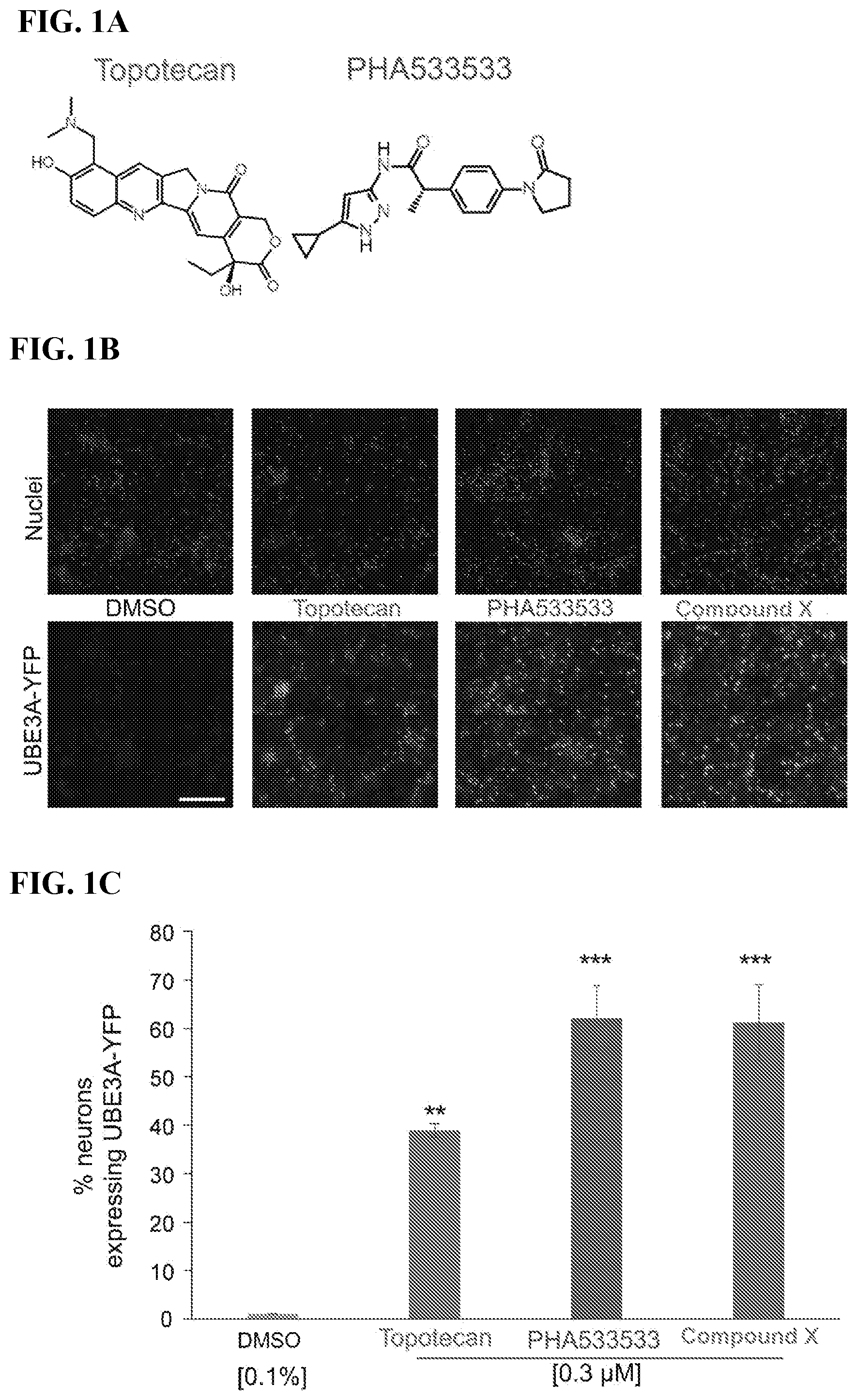 Patent US12310947 Figure 1 – Methods and compositions for unsilencing imprinted genes