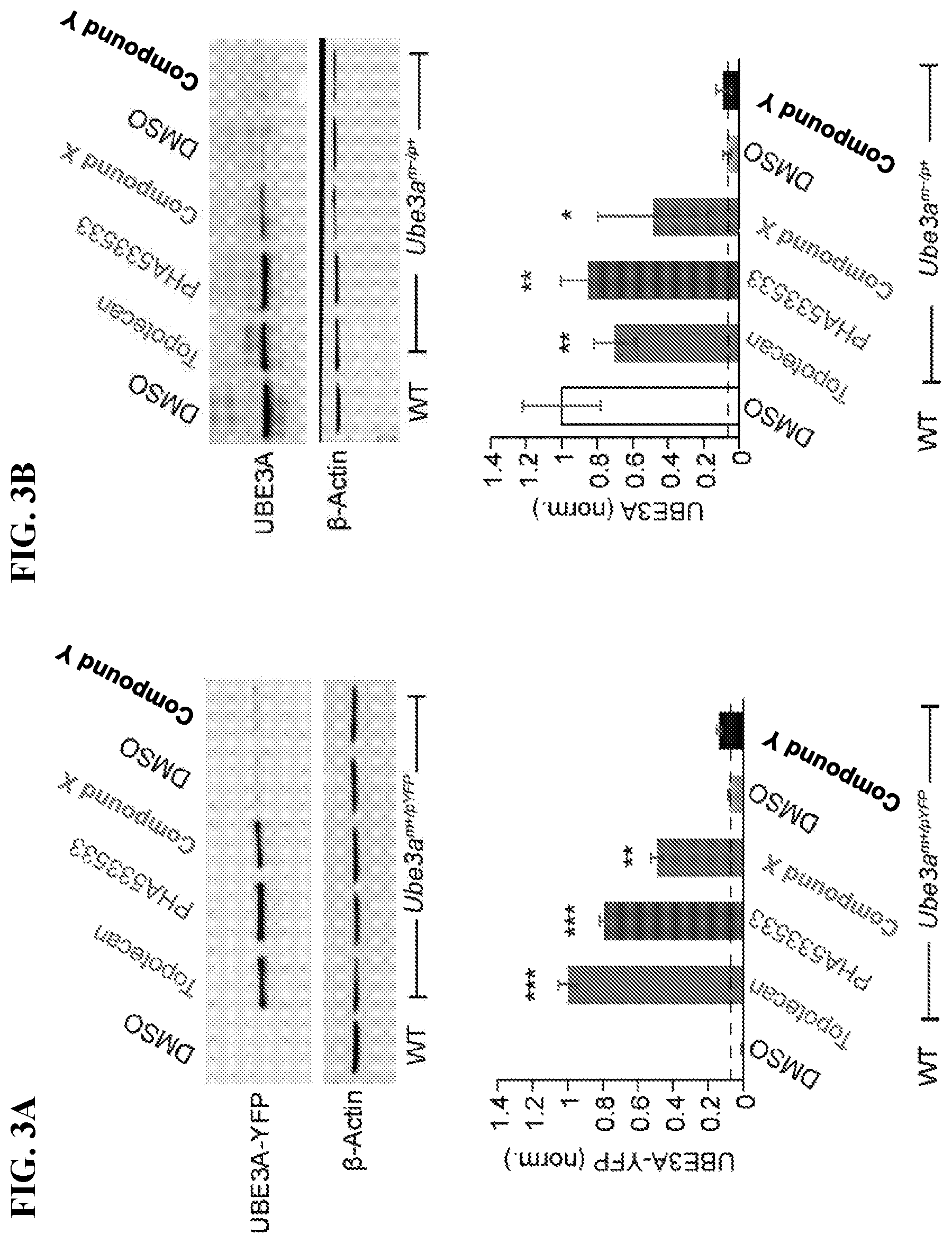Patent US12310947 Figure 4 – Methods and compositions for unsilencing imprinted genes